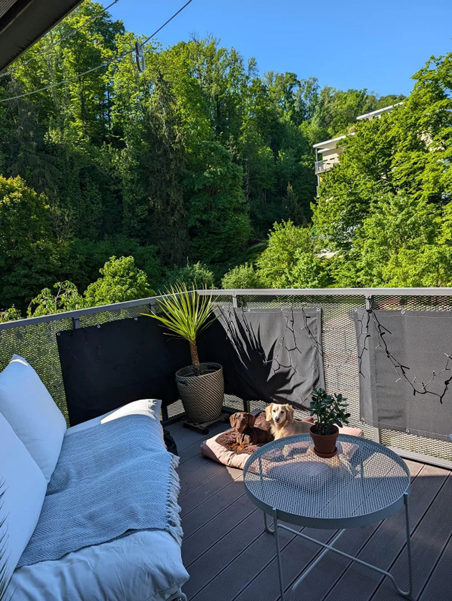 Appartamento di 4.5 locali con vista sulla foresta a Freienbach - Foto 12 di 14