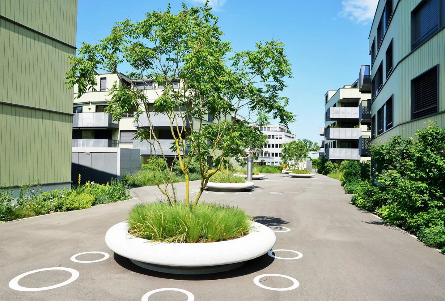 Appartamento di 4.5 locali con vista sulla foresta a Freienbach - Foto 13 di 14