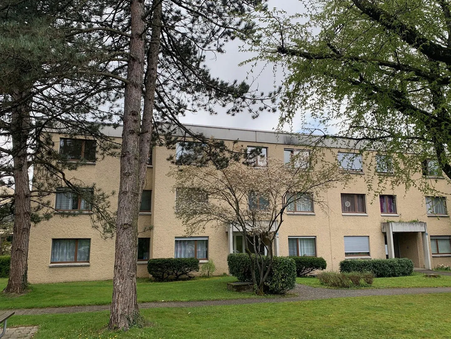 Gemütliche 2.5 Zimmerwohnung mit Cheminée und Sitzplatz im Grünen - Foto 2 di 8