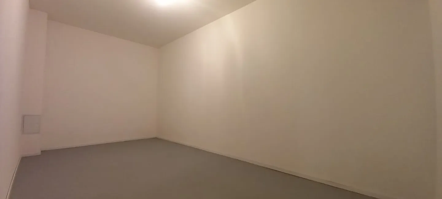 Apartment with Basel view - Photo 9 of 10
