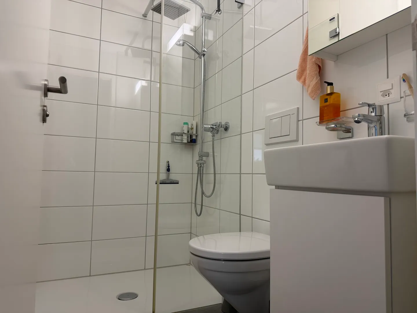 APPARTEMENT 4½ PIÈCES À BURGDORF (BE), MEUBLÉ, TEMPORAIRE - Photo 8 sur 9