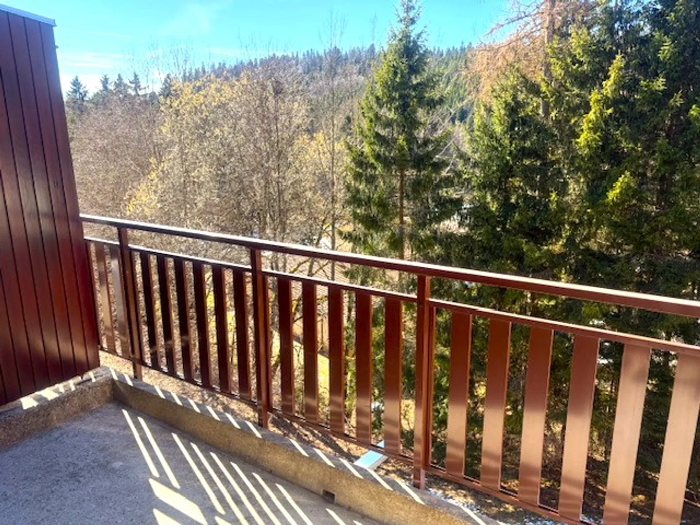 Charming apartment with 2.5 rooms and balcony in St-Cergue - Photo 7 of 9