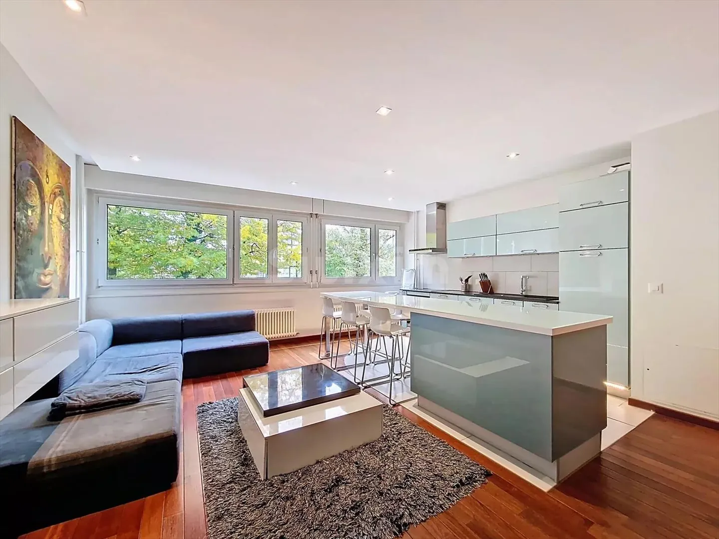 Superb Furnished Apartment in Grand-Lancy - Photo 1 of 6