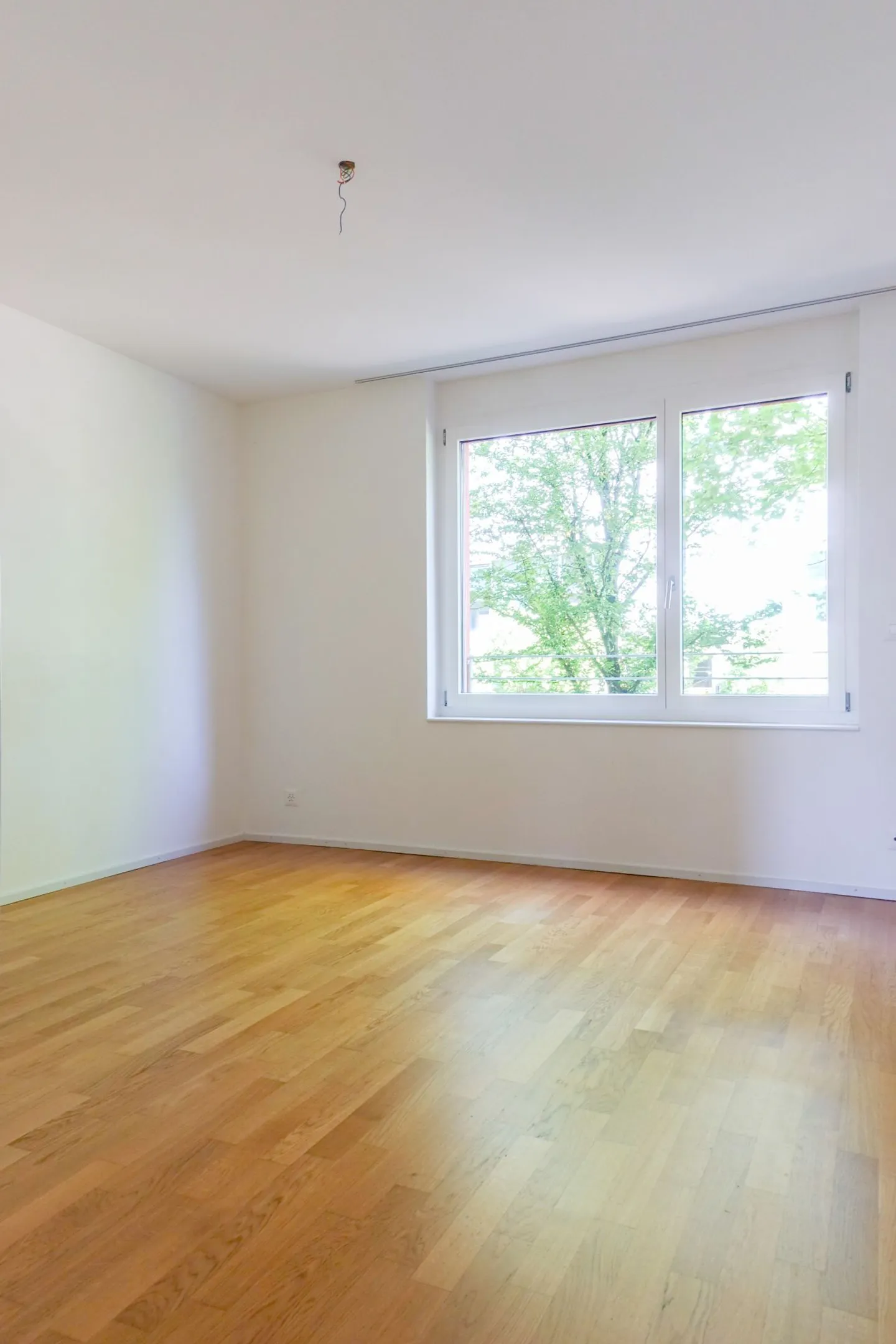 Your new 4 walls - In the heart of Rheinfelden! - Photo 18 of 20