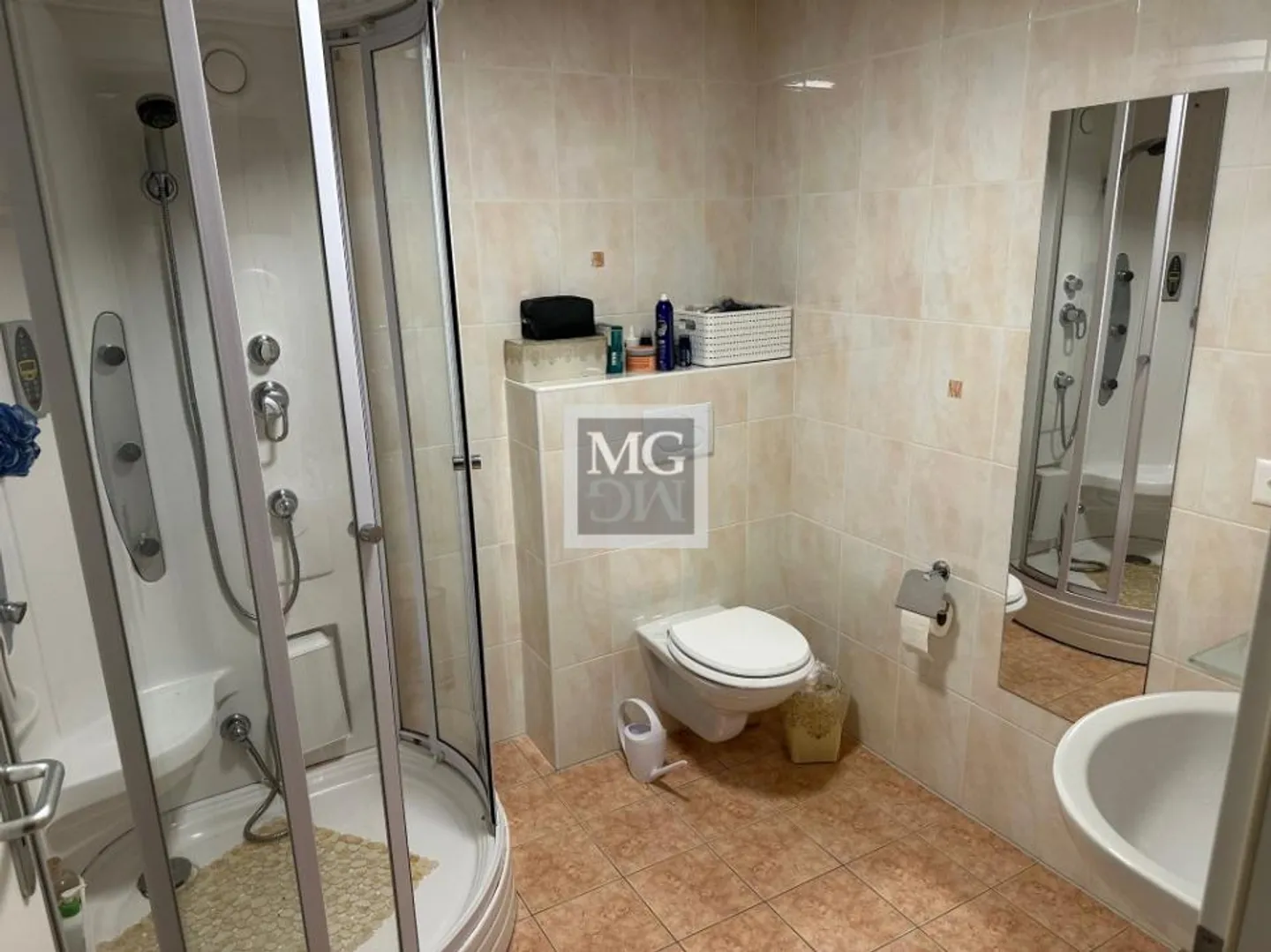 Vernier: Spacious family villa with large garden - Photo 8 of 8