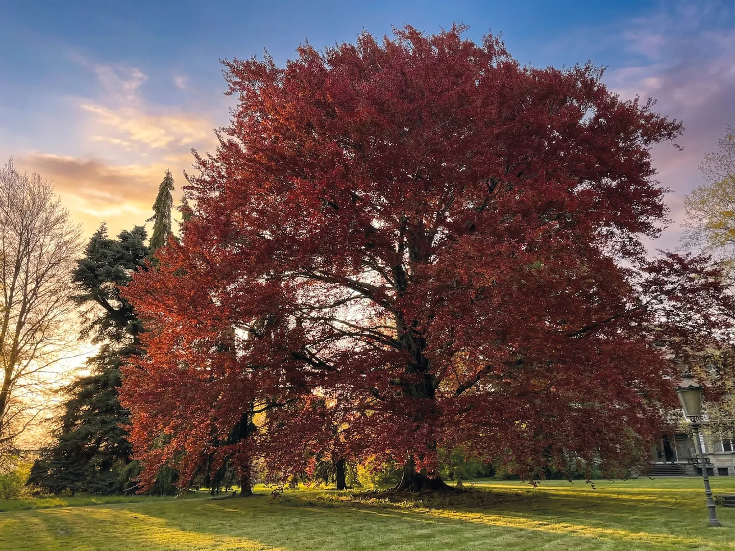 Casa padronale ad alto potenziale - Foto 7 di 7