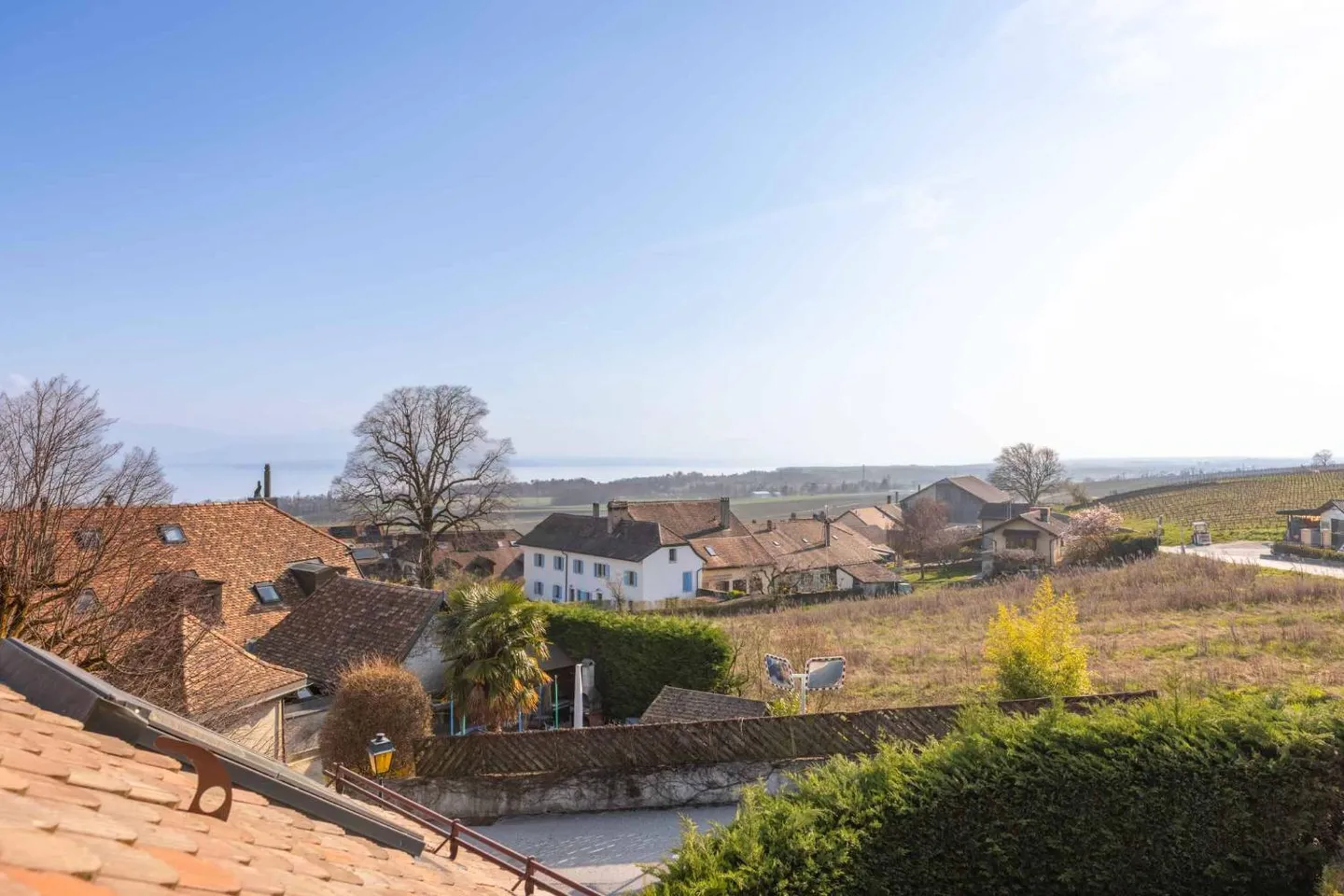 Affascinante casa ristrutturata nel cuore dei vigneti - Foto 1 di 13