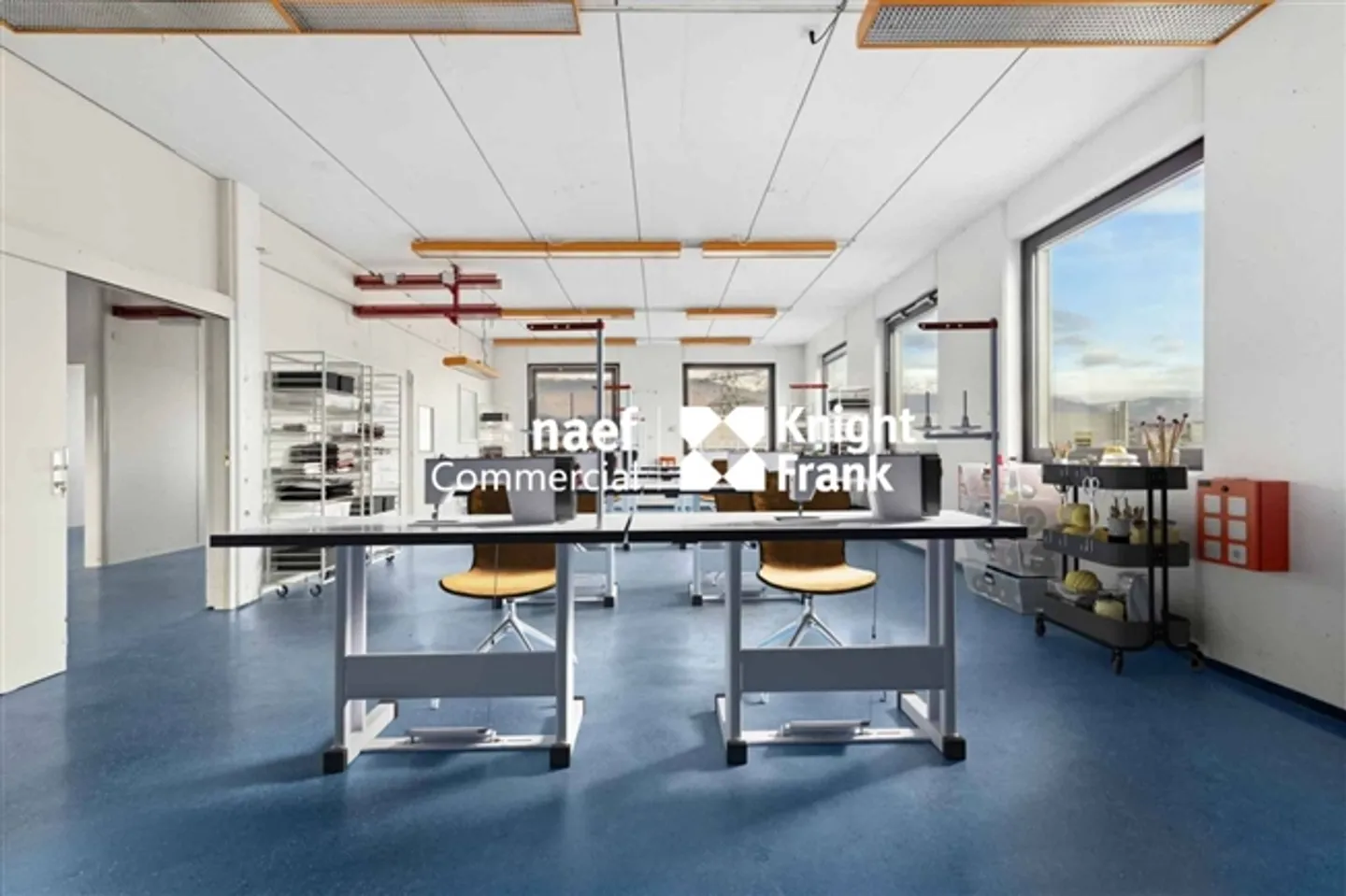 «Fläche von 430 m² im Industriegebiet ZIMEYSA in Meyrin» - Foto 3 von 12