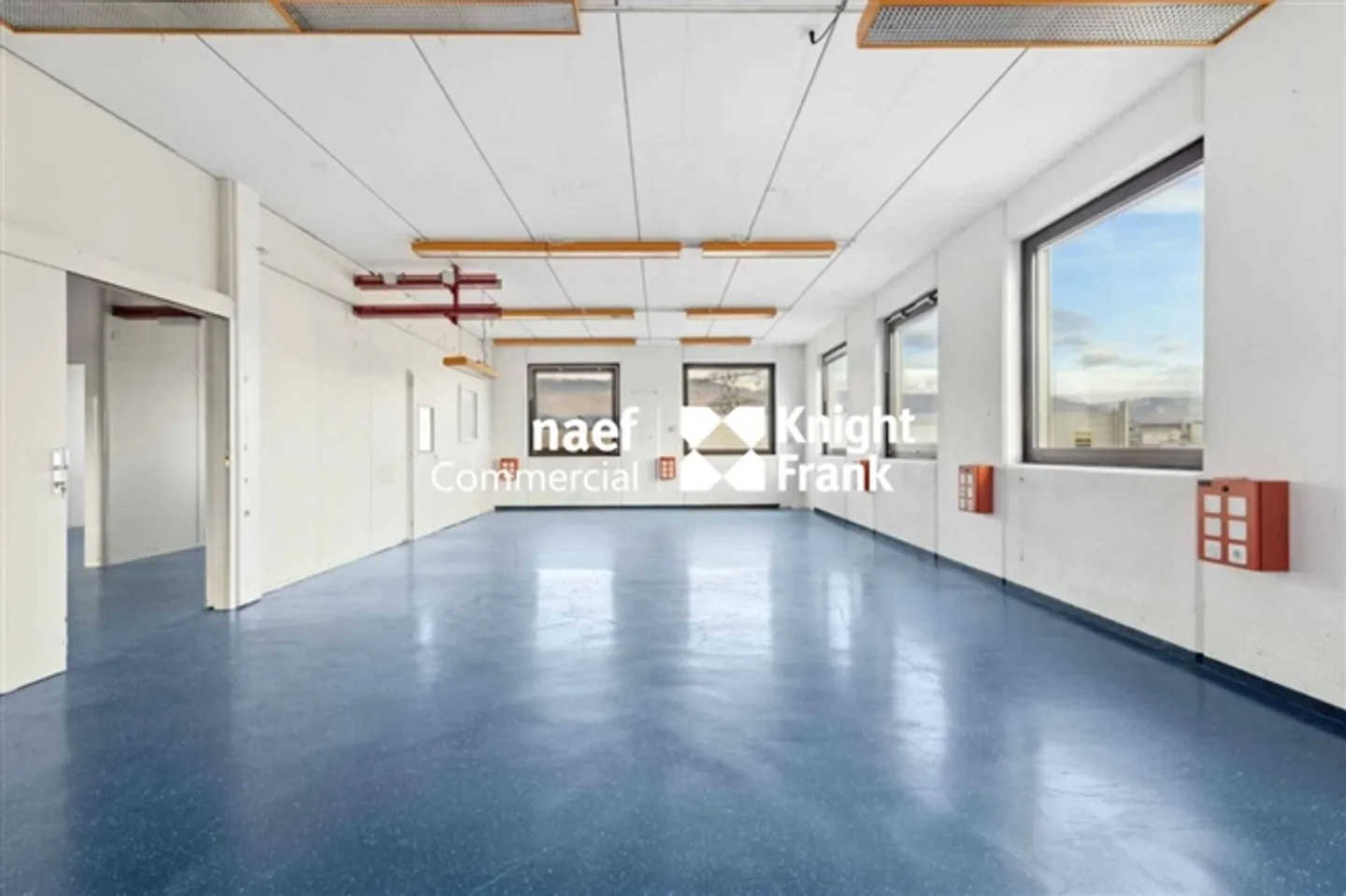 «Fläche von 430 m² im Industriegebiet ZIMEYSA in Meyrin» - Foto 4 von 12