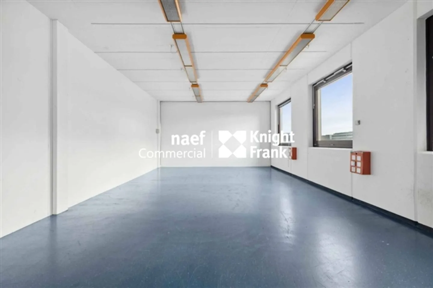 «Fläche von 430 m² im Industriegebiet ZIMEYSA in Meyrin» - Foto 9 von 12