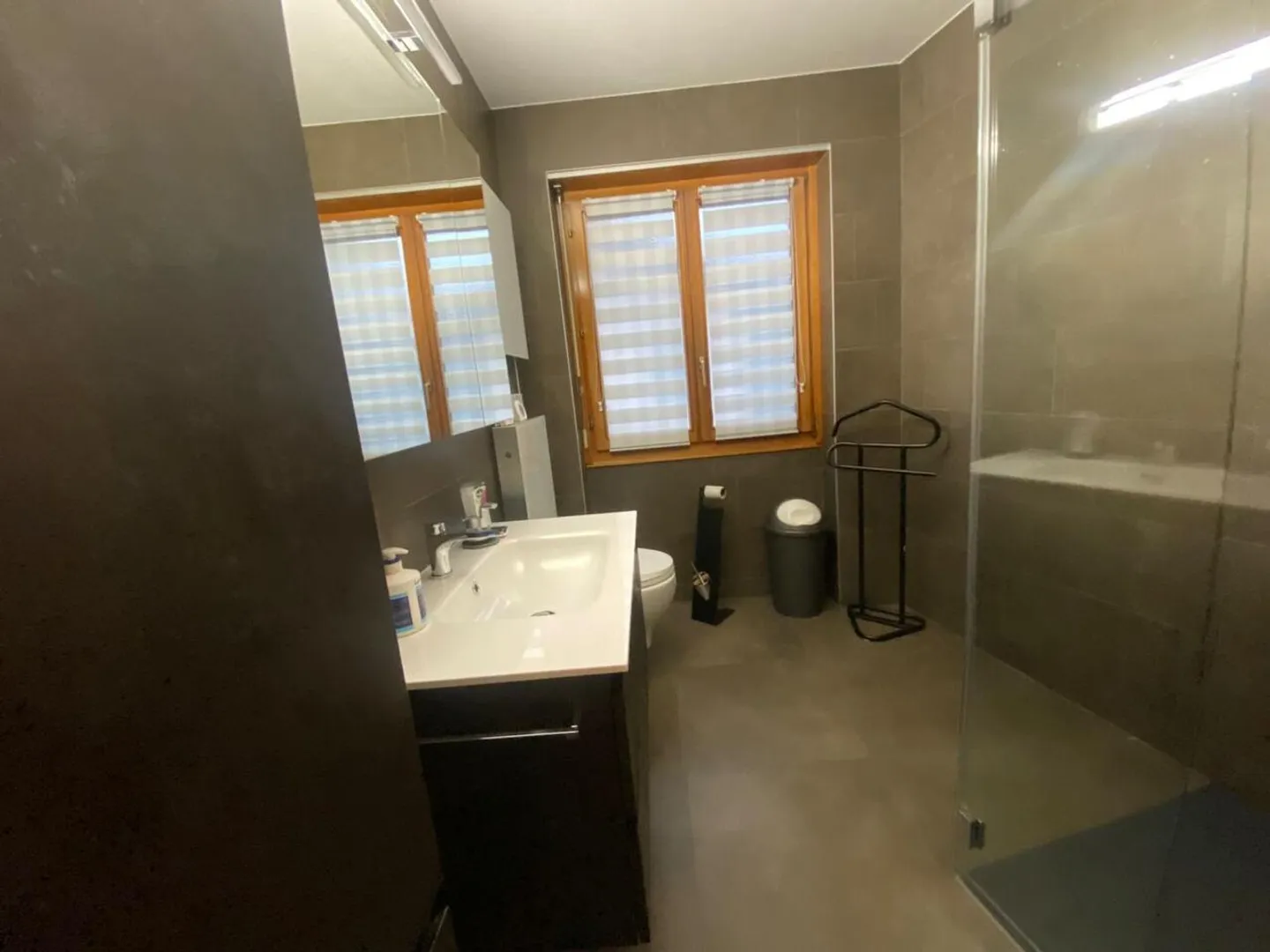 7 1/2 Room Single Family House with Swimming Pool - Photo 10 of 13