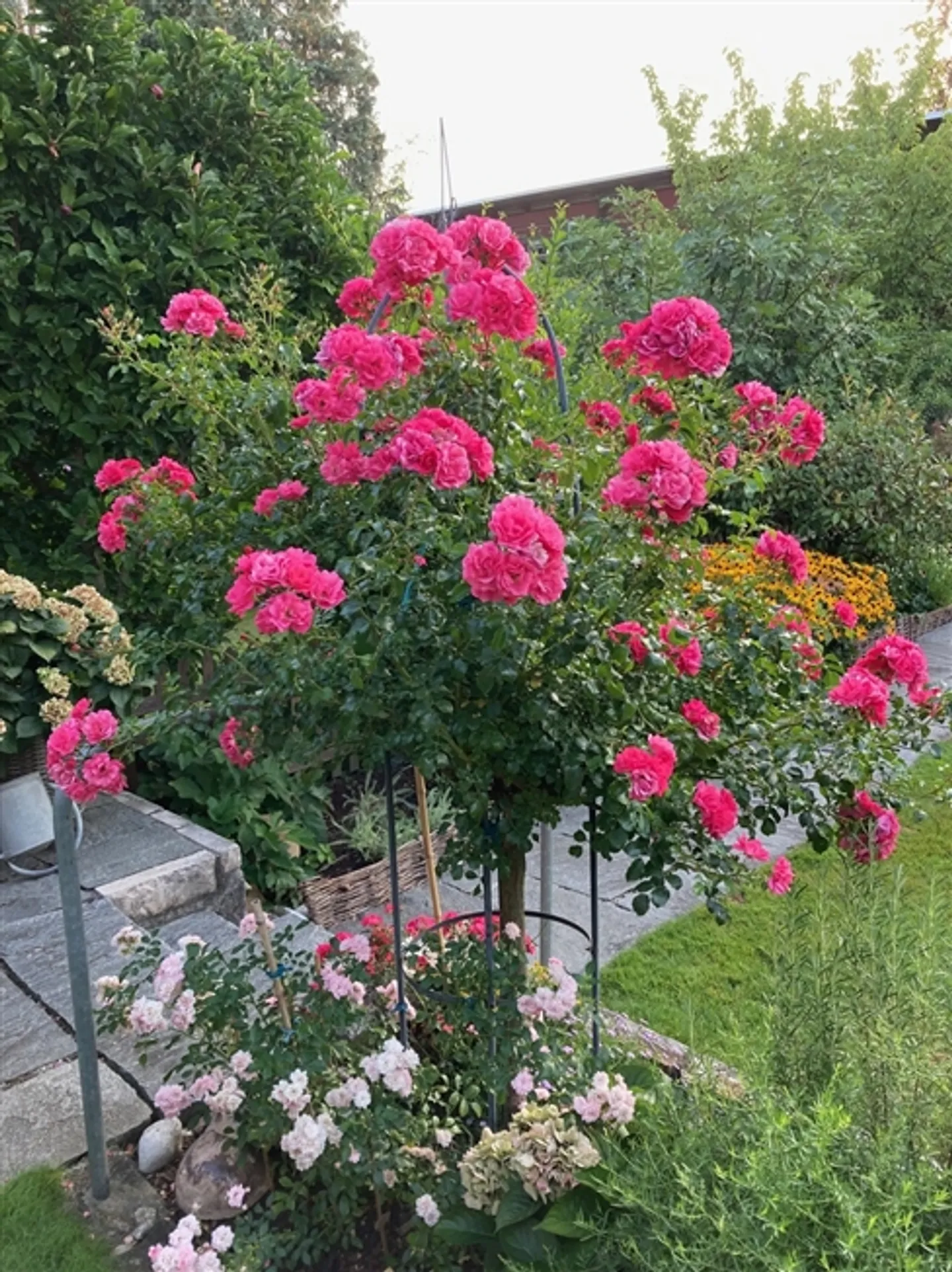 Cozy Row House with Beautiful Garden - Photo 16 of 17