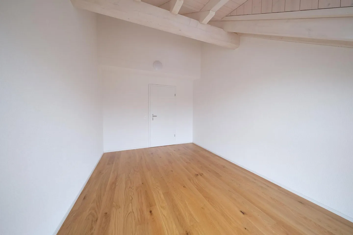 Modern and spacious gallery apartment with a view of the greenery - Photo 14 of 14
