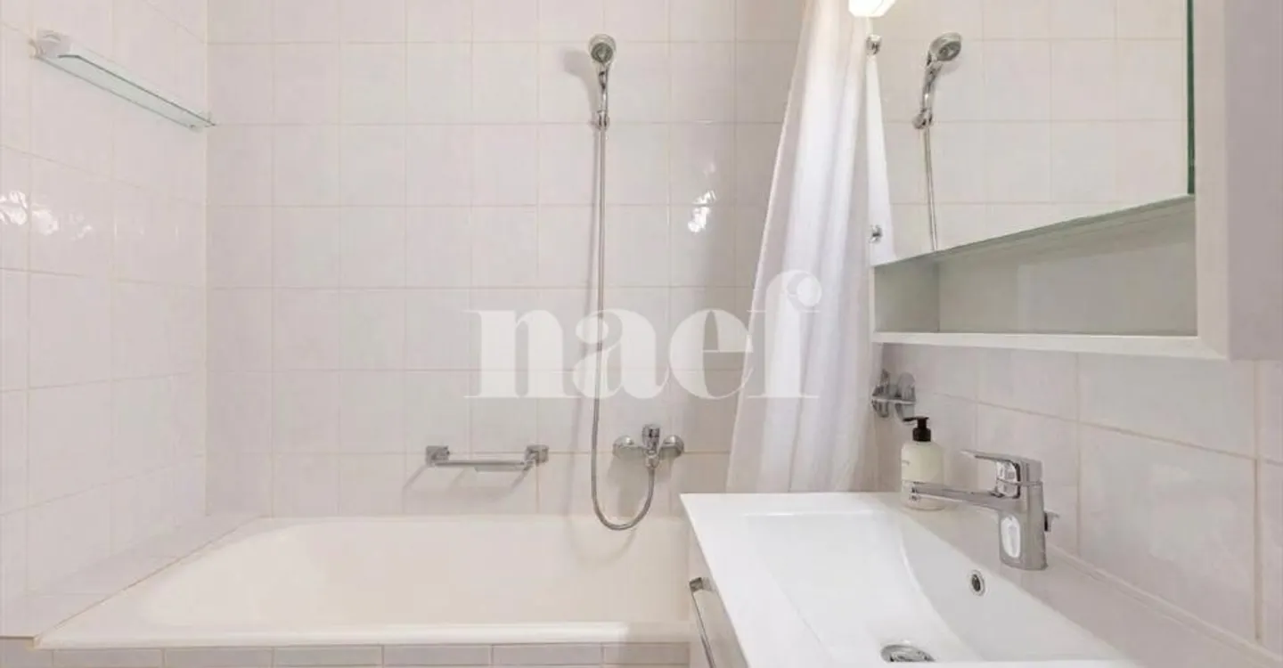 Charmilles: Large studio with separate kitchen - Photo 10 of 11