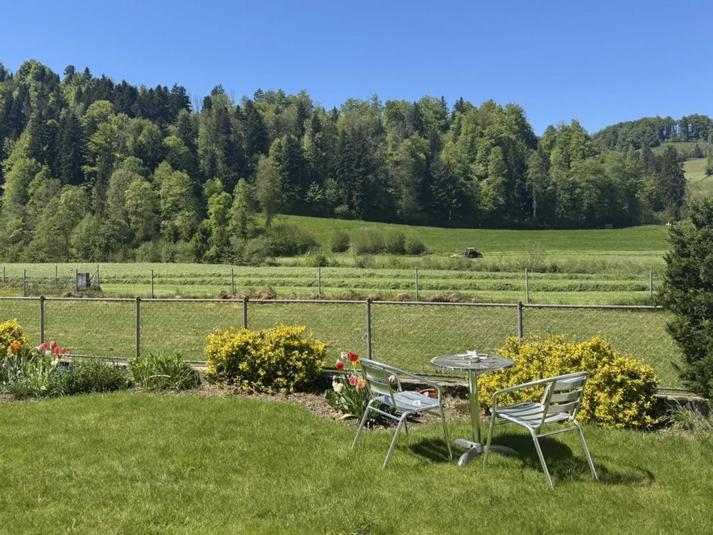 6-Zi. Einfamilienhaus mit flexibler Nutzung - Foto 2 von 11