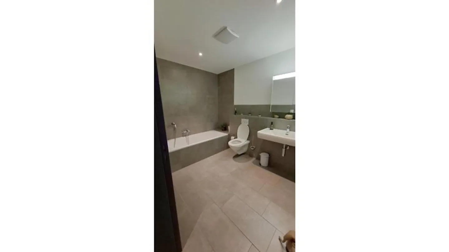 4-room apartment in Laufen (BL), furnished, temporary - Photo 6 of 7