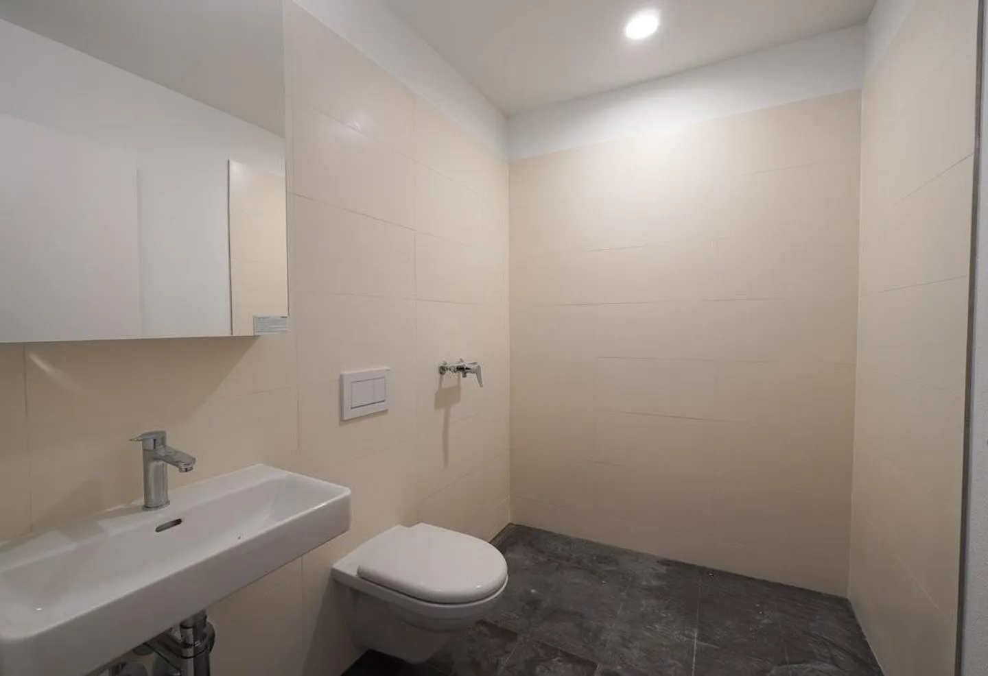 PRIMA AFFITTAZIONE A LIESTAL - ogni appartamento con la propria torre di lavaggio - Foto 8 di 12