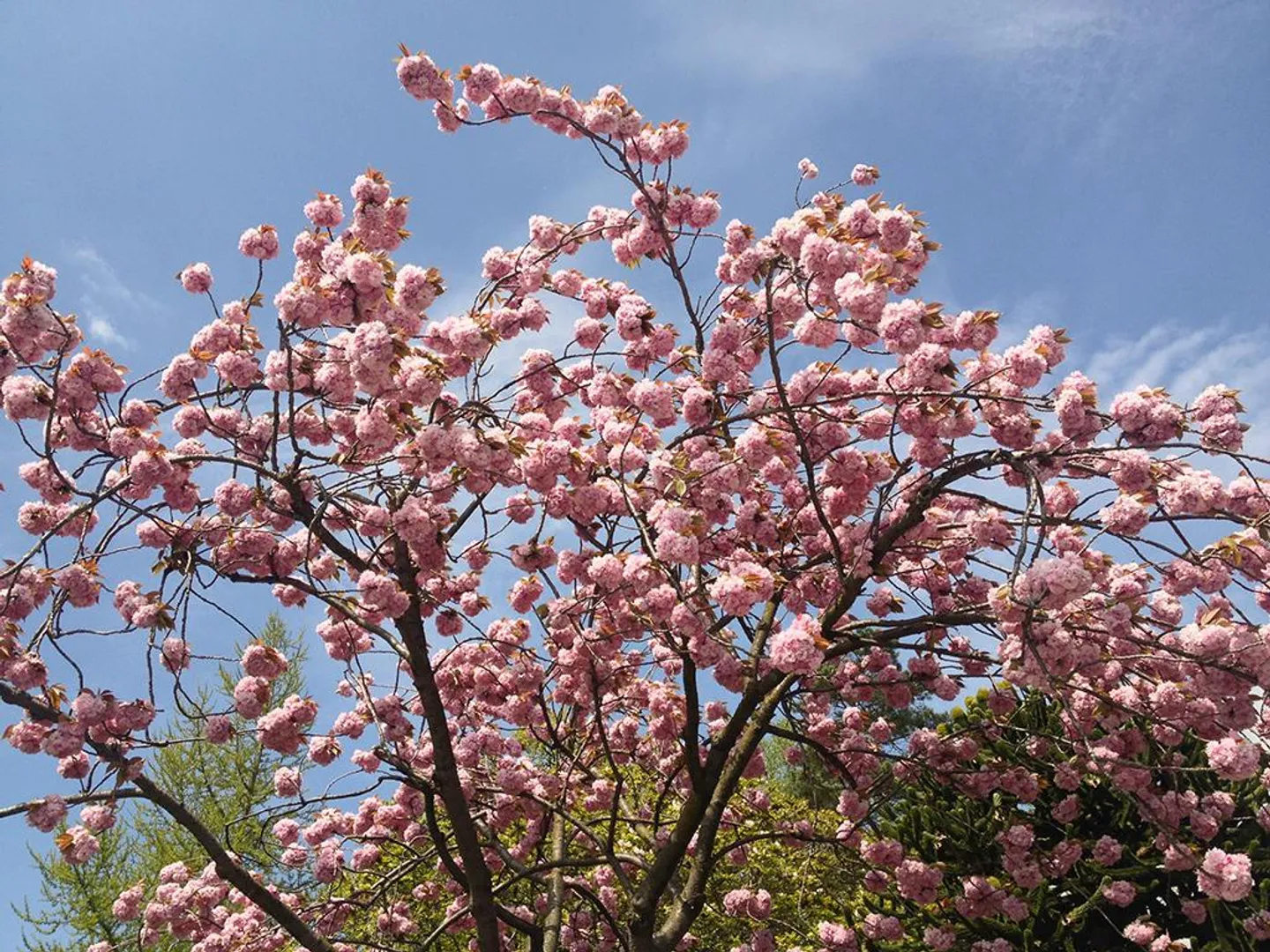 CLARENS - MAGNIFICO APPARTAMENTO DA INVESTIMENTO - 2,5 LOCALI - Foto 1 di 3