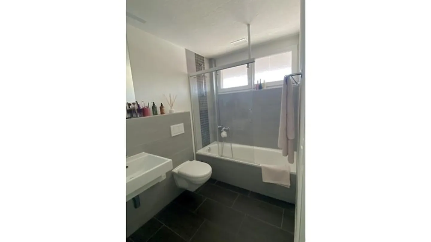 STUDIO IN ALTENDORF (SZ), FURNISHED, TEMPORARY - Photo 5 of 8