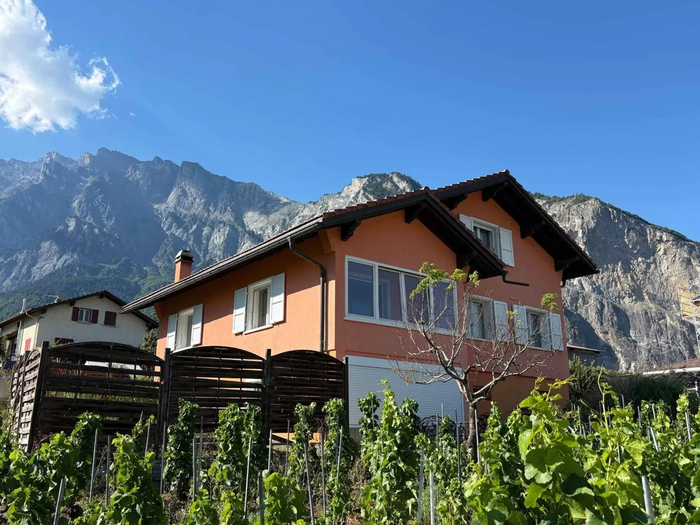 Casa Indipendente con Vigna - Foto 8 di 13