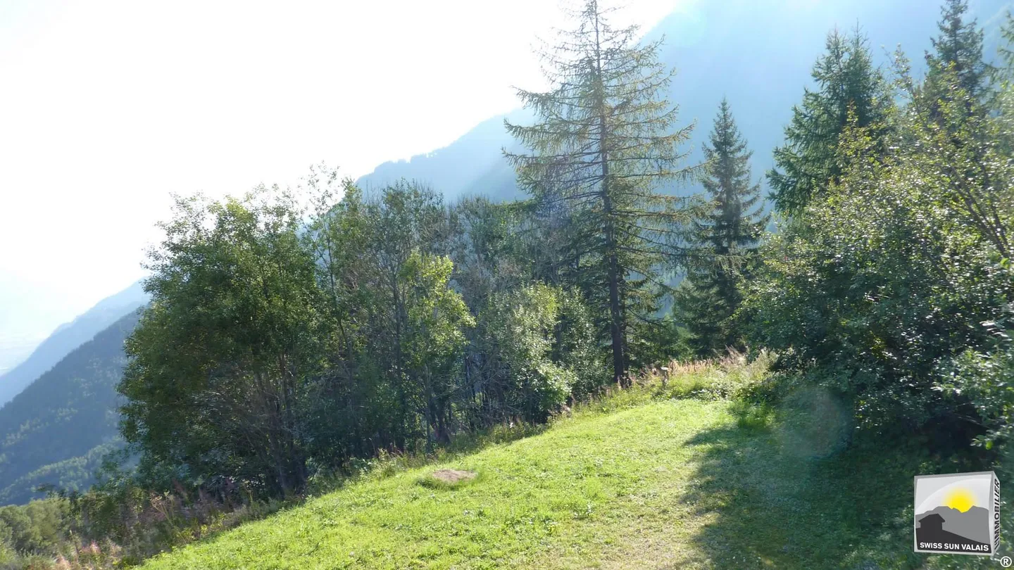 WURDE BEREITS VERKAUFT. Danke - Foto 11 von 12