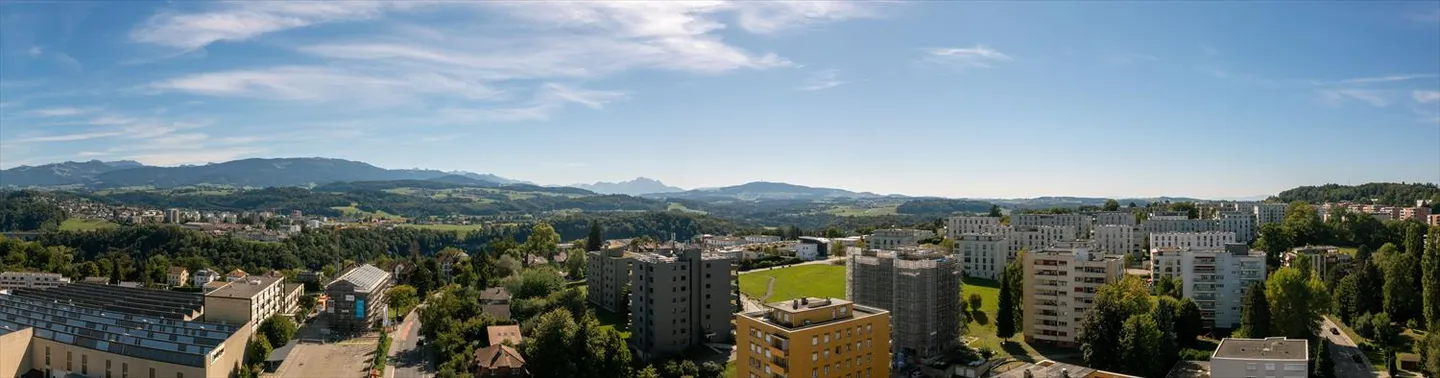 Un faccia a faccia con il Moléson e spazi familiari - Foto 1 di 9