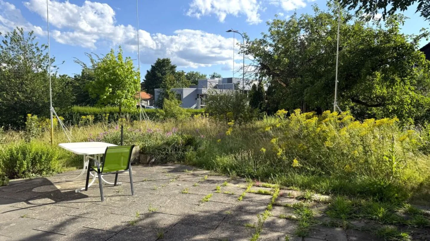 Klein, fein, mein: attraktive 1.5-Zimmer-Wohnung in Selzach - Foto 8 von 9