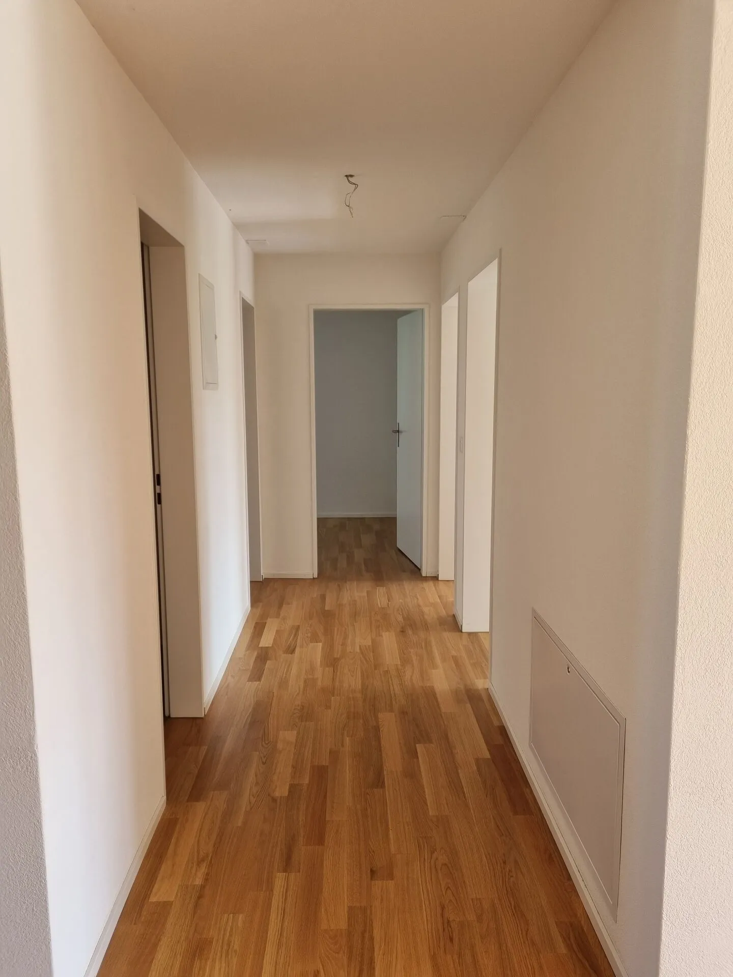 Spacious 4.5-room apartment in a quiet location - Photo 5 of 13