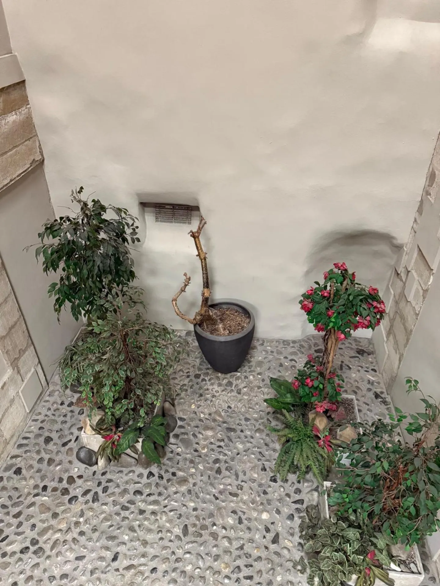 Appartamento di Charme nel Cuore della Vecchia Città di Ginevra - Vendita in SI - Foto 9 di 12