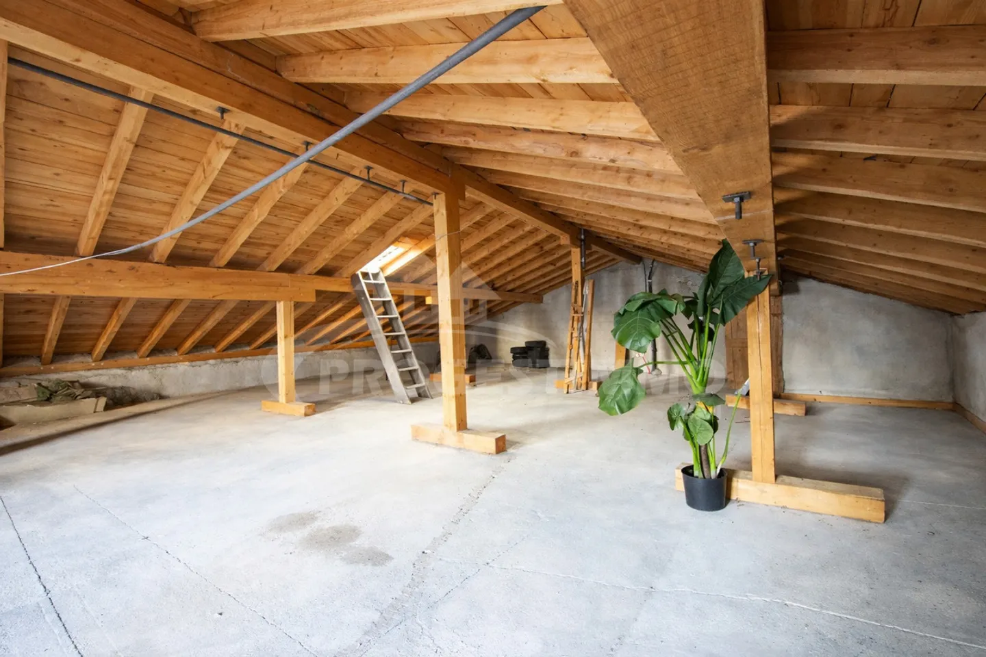 VILLAGE HOUSE WITH EXPANSION POSSIBILITIES - Photo 10 of 12