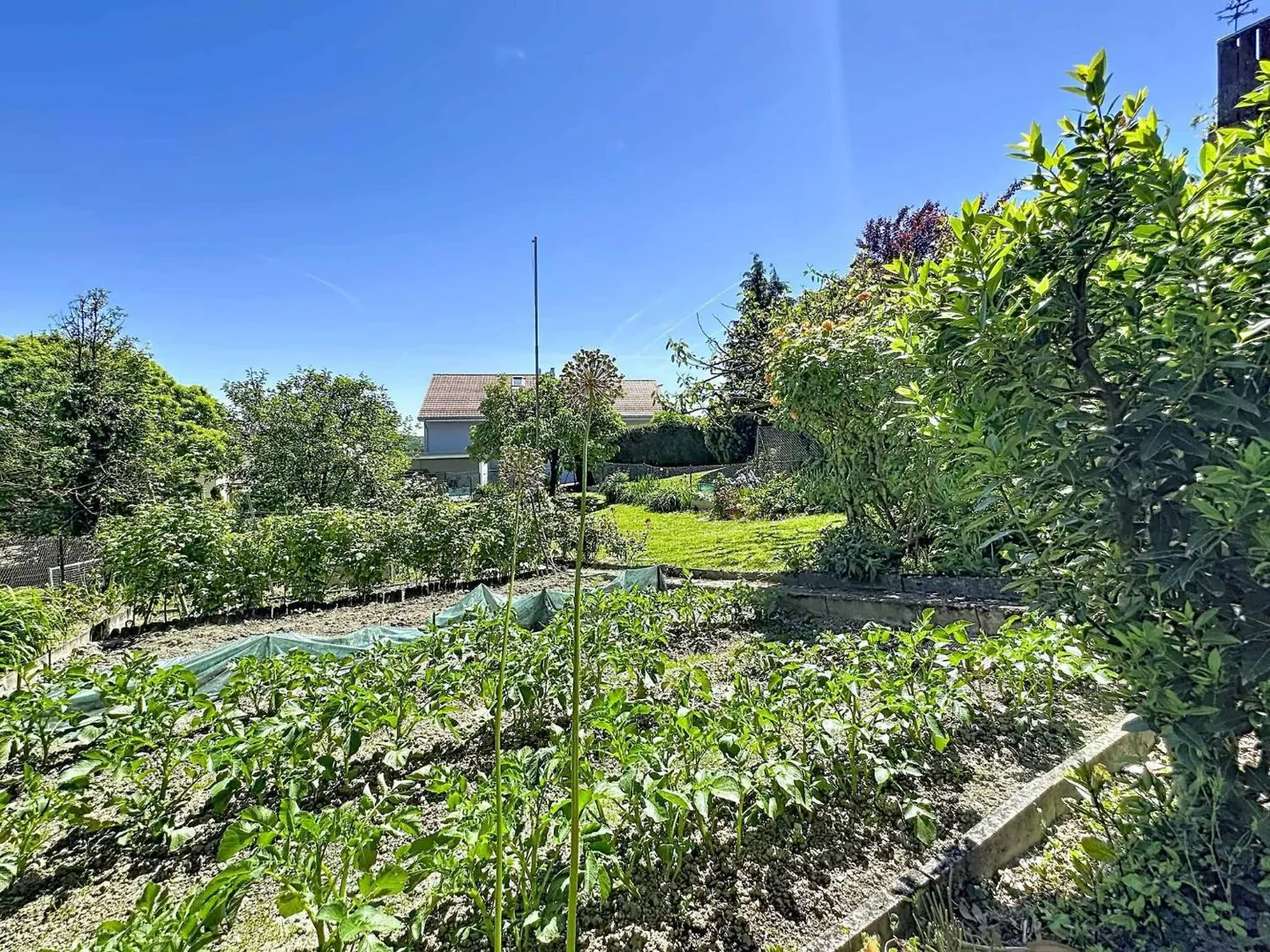 Maison Charmante avec Potentiel - Photo 12 sur 12