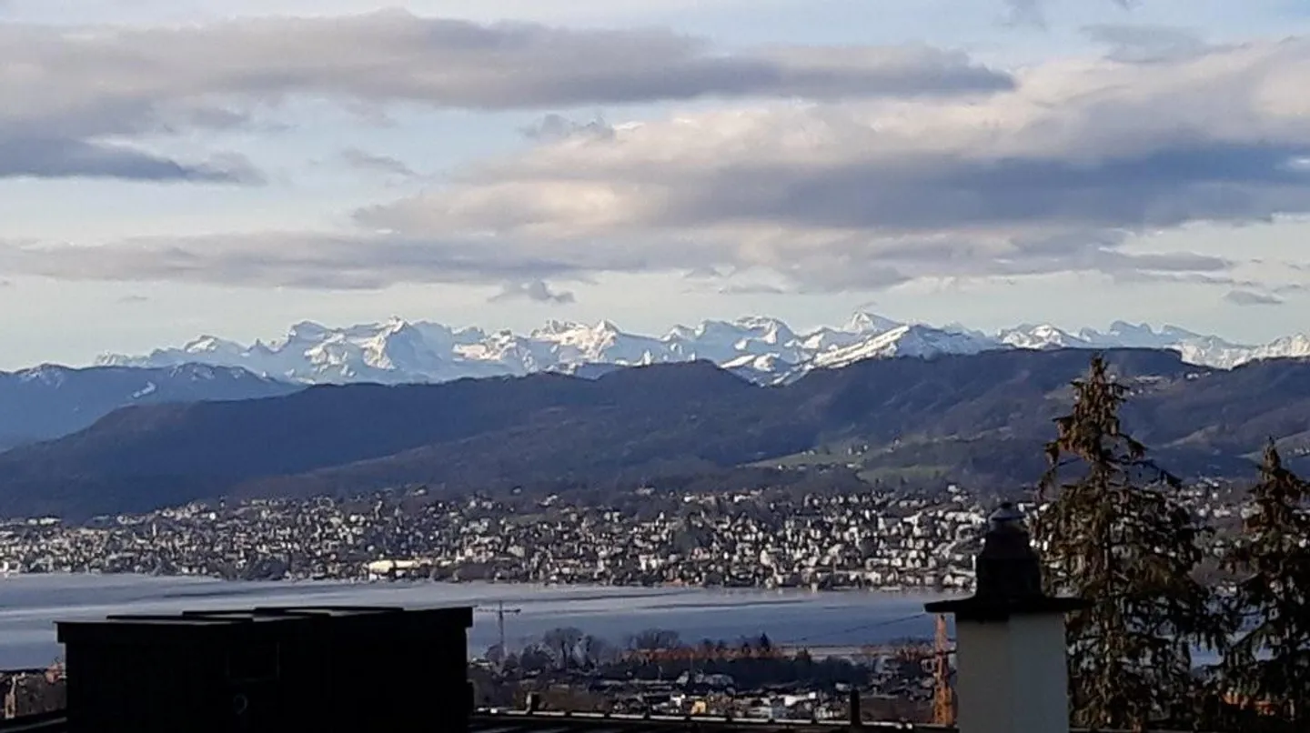 Quiet living at Zürichberg - Photo 3 of 11