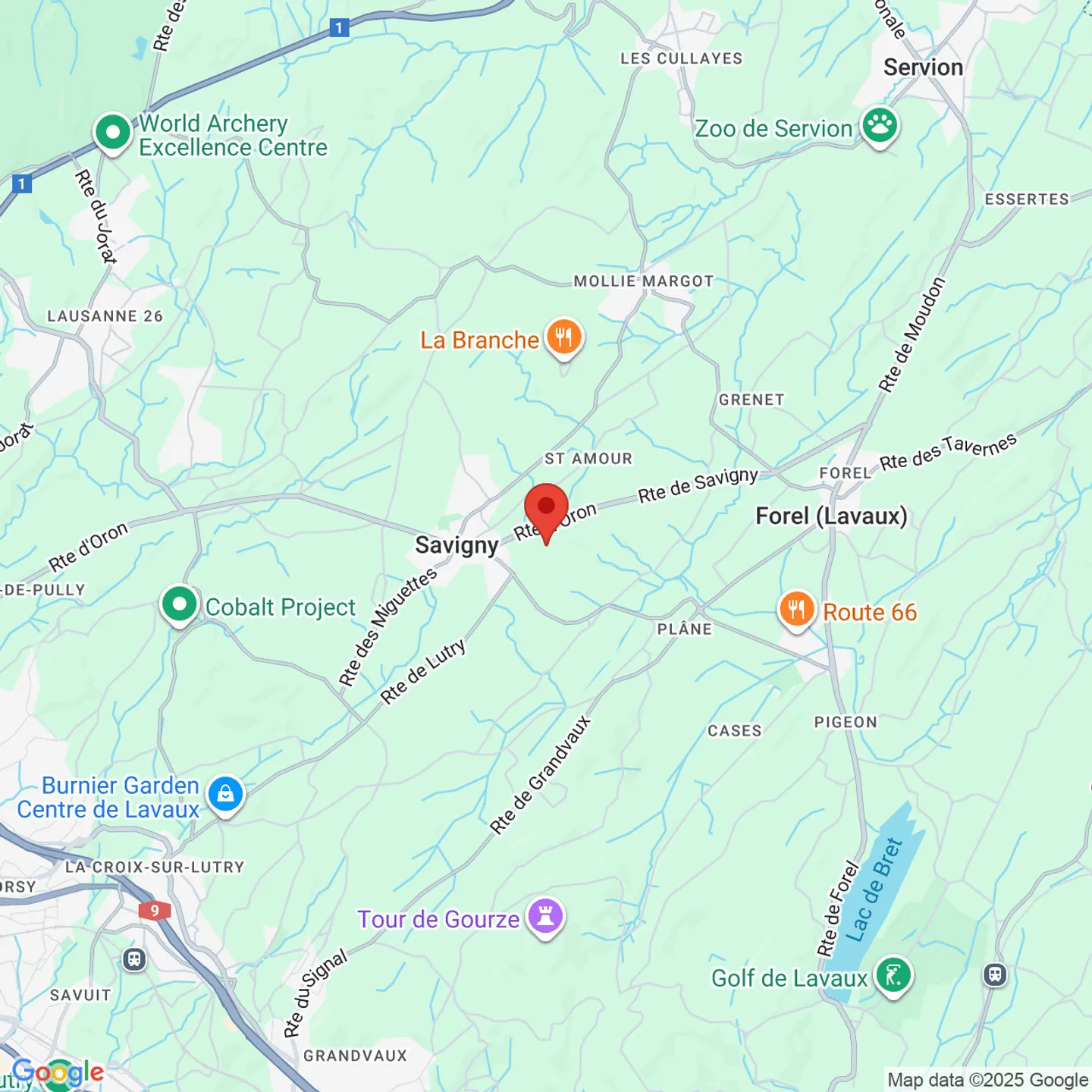 Zu vermieten - 50m2 Lager - Zugang ebenerdig - 1073 Savigny - Foto 4 von 4