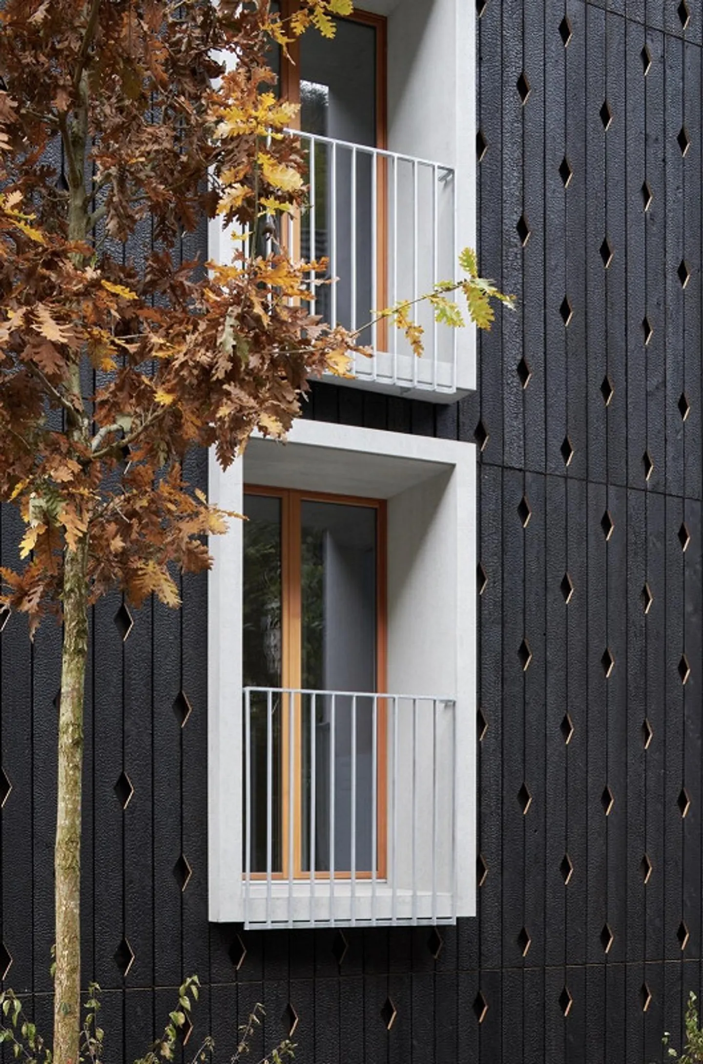 Modernes Studio mit Sauna - Foto 5 von 12