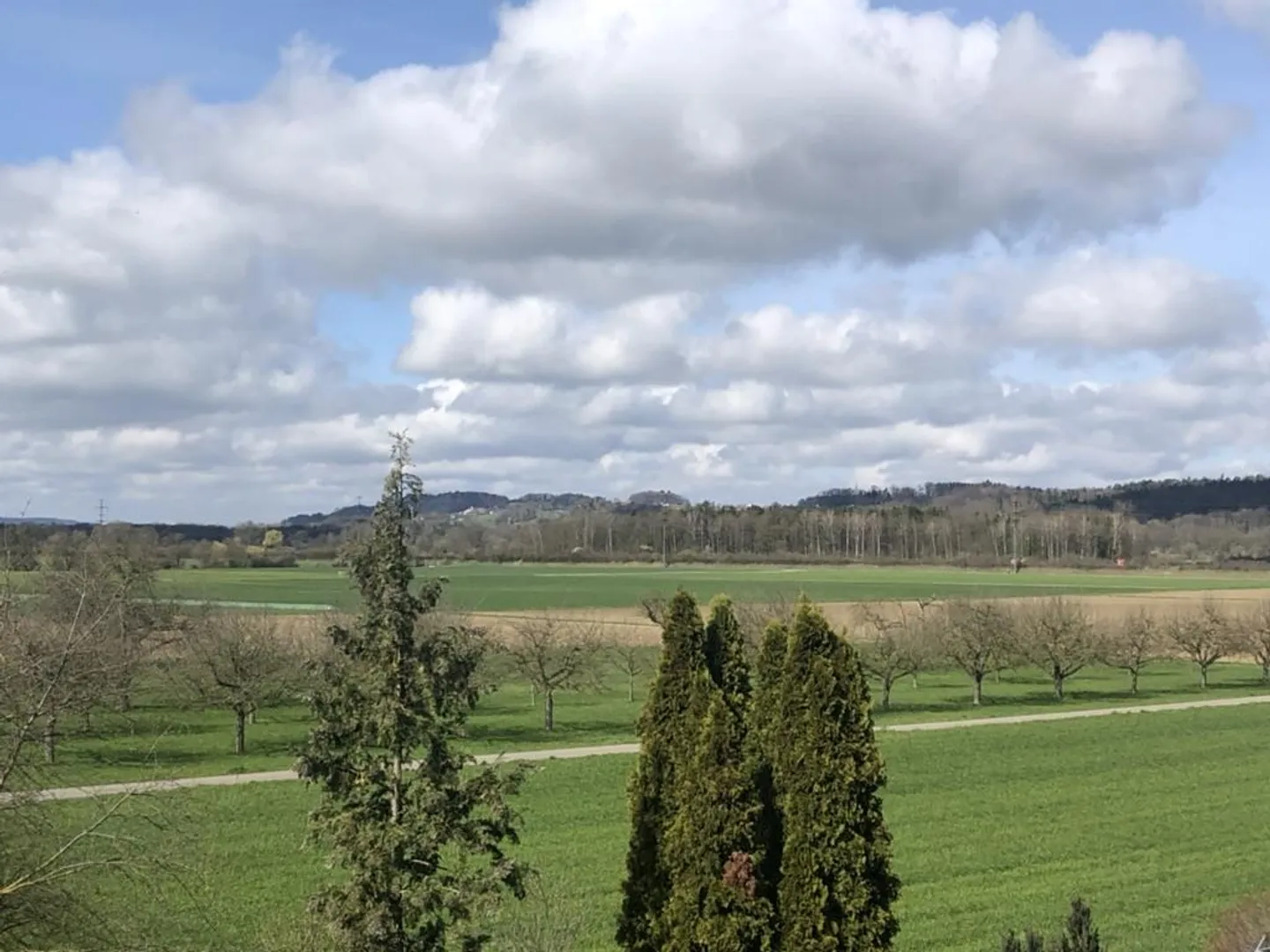 Nouvelle construction / Appartement de 4,5 pièces / Proche de la ville et dans la nature - Photo 6 sur 6
