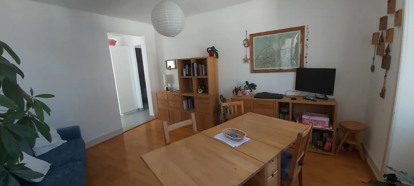 Appartement lumineux 2.5 pièces - Photo 3 sur 6