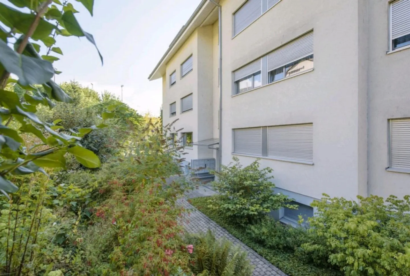 Bellissimo appartamento di 2,5 stanze a Dornach cerca nuovo inquilino - Foto 3 di 6