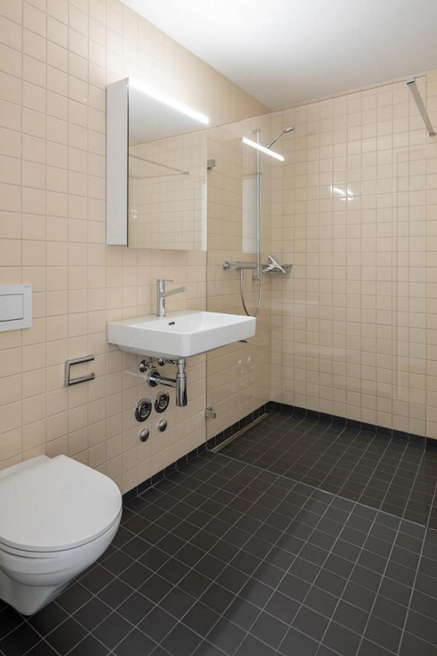 Appartamento moderno 2.5 locali - Foto 3 di 6