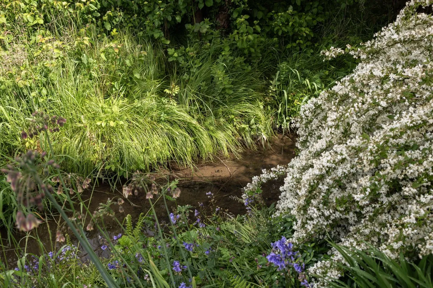 La tua casa vicino al ruscello - adatta alle famiglie e immersa nella natura - Foto 7 di 21