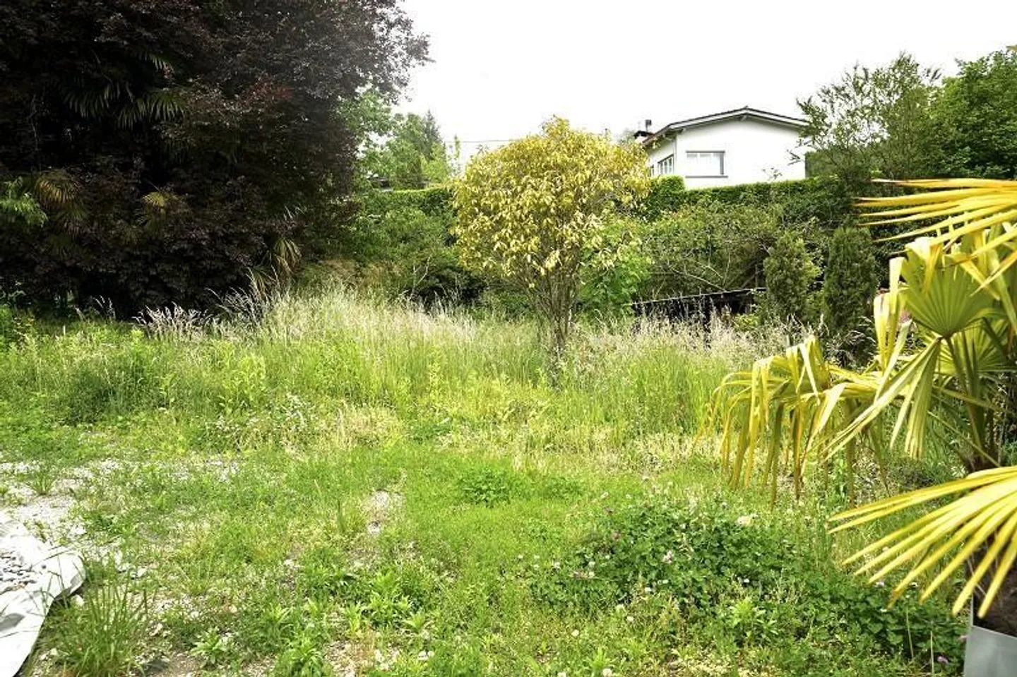 Terreno di 570 m2 in una posizione tranquilla e soleggiata con vista - Foto 5 di 13