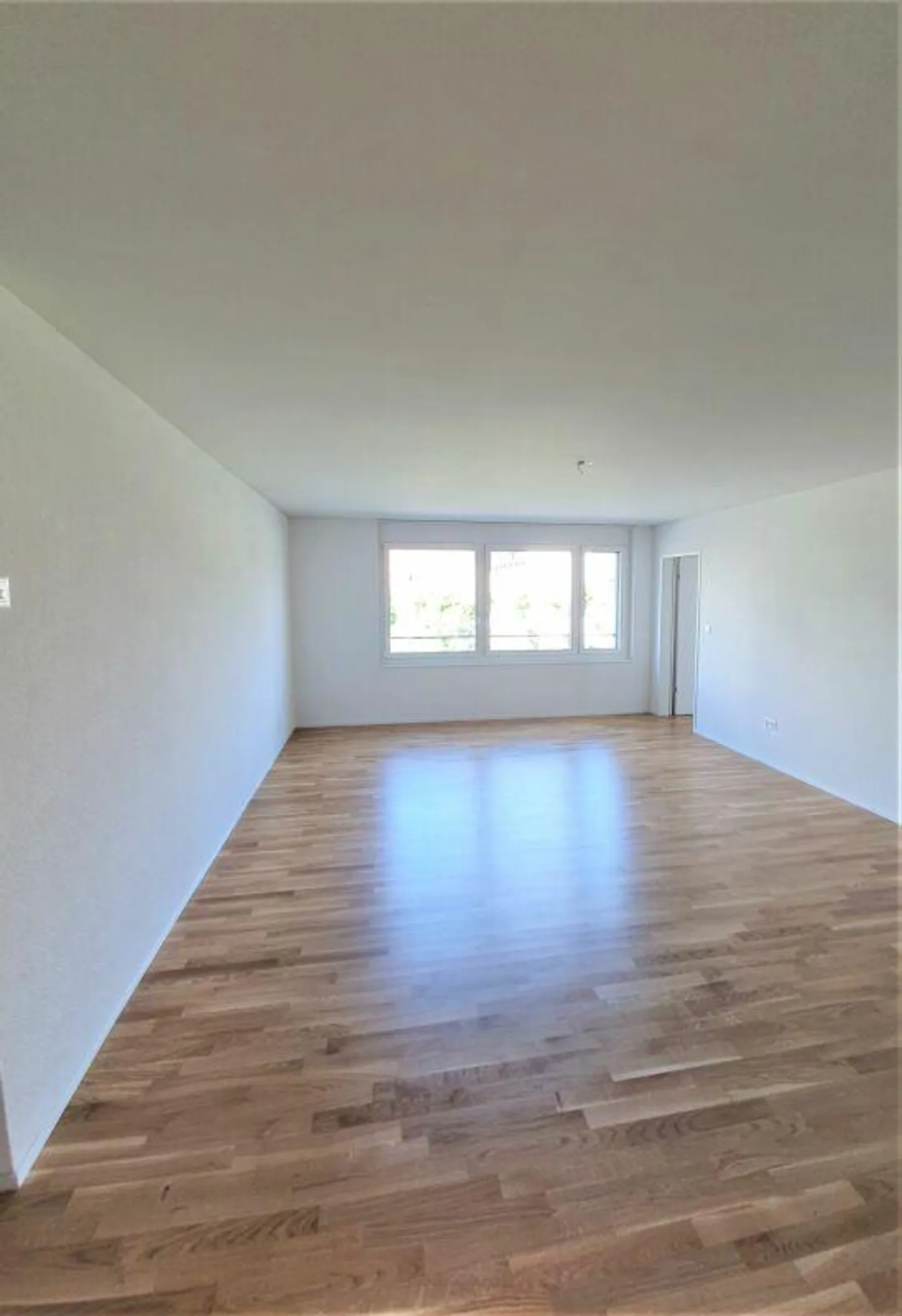 Spacious and Modern Living - Photo 3 of 8