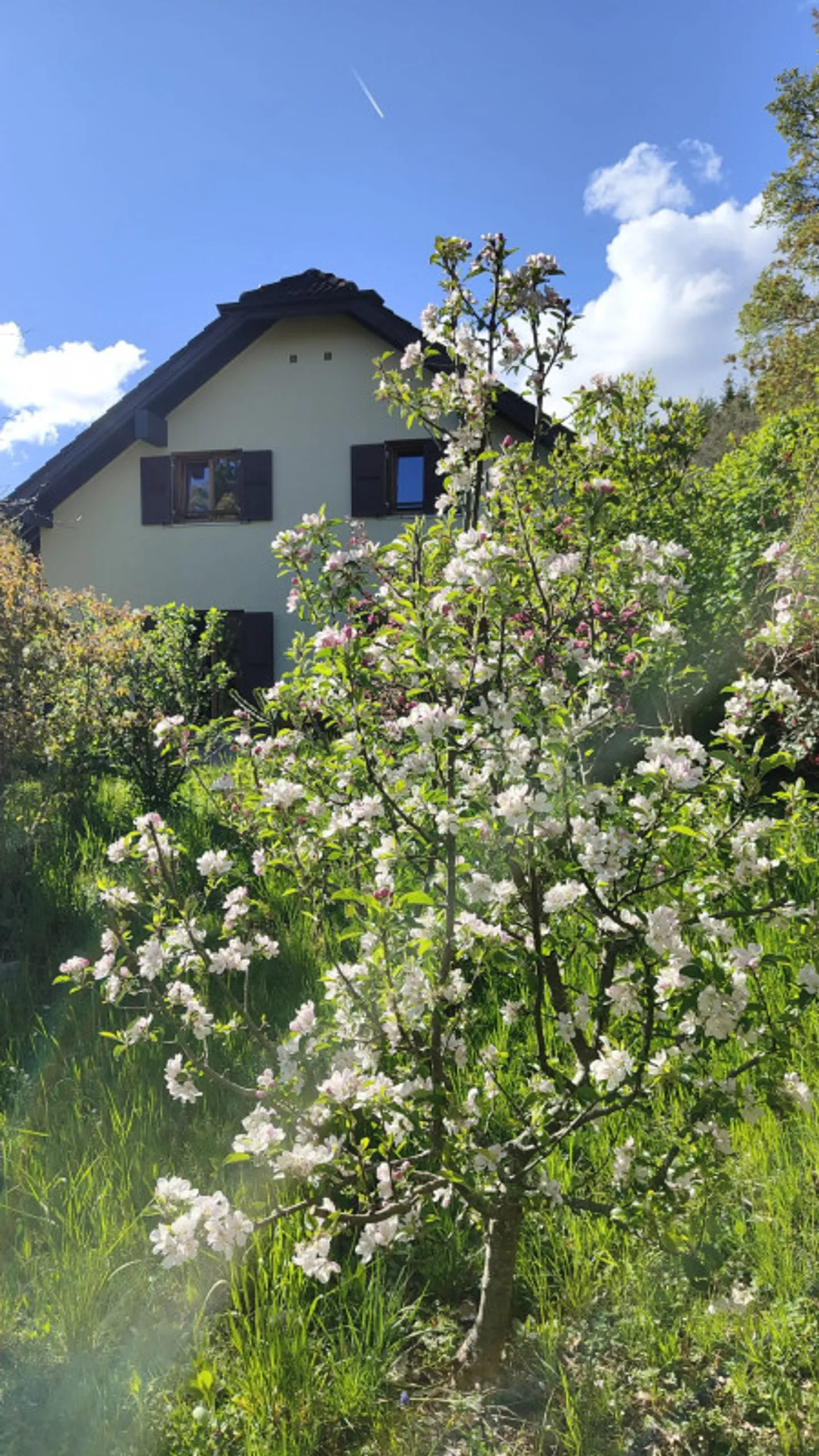 Charmantes Doppelhaus - Foto 2 von 13