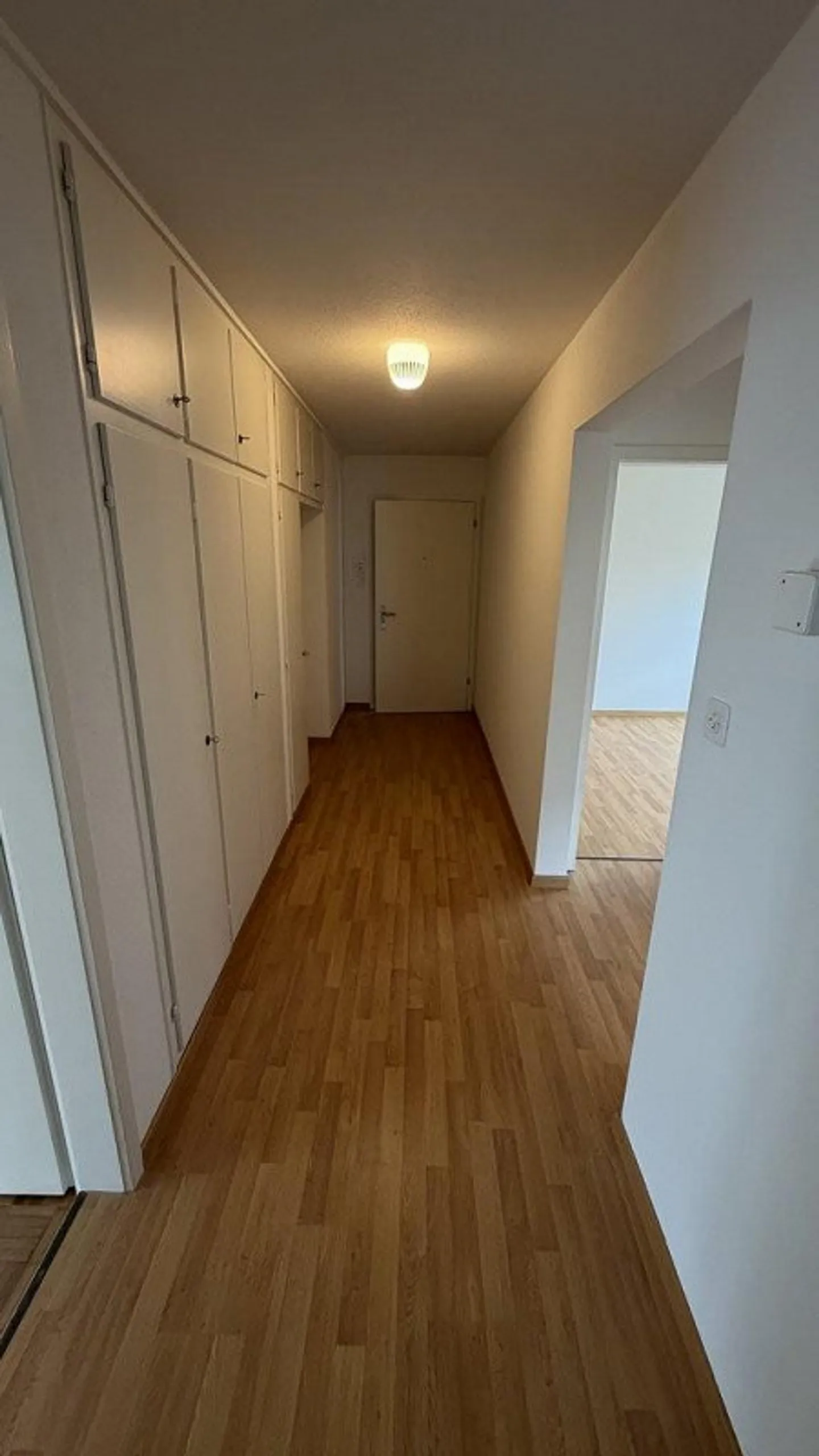 AFFITTARE SENZA DEPOSITO - Appartamento nel cuore di Bassersdorf - Foto 7 di 8