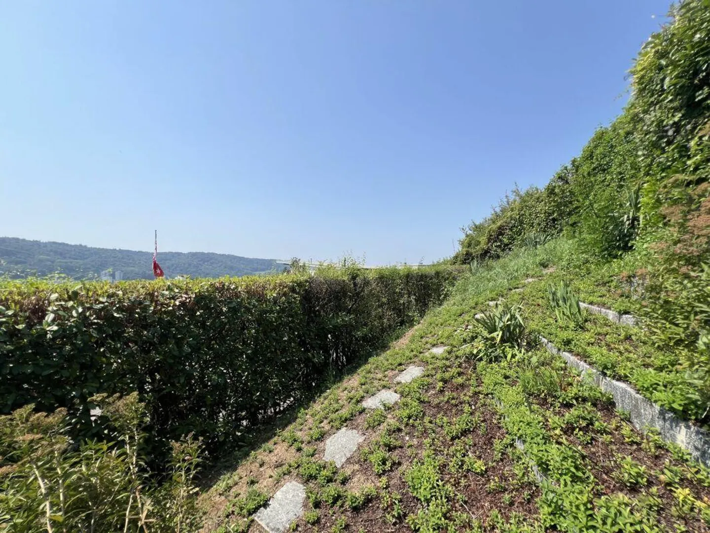 Familienhaus an begehrter Hanglage mit traumhafter Fernsicht in Nussbaumen - Foto 5 von 11