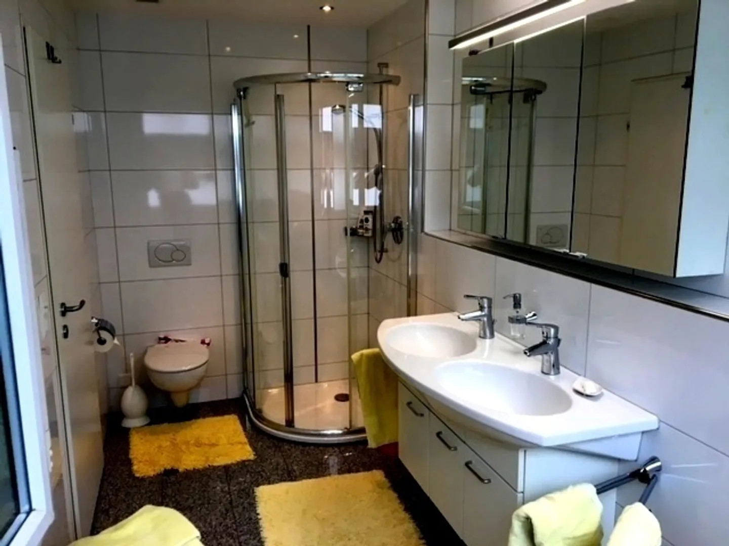 Furnished Apartment in Schindellegi - Photo 6 of 7