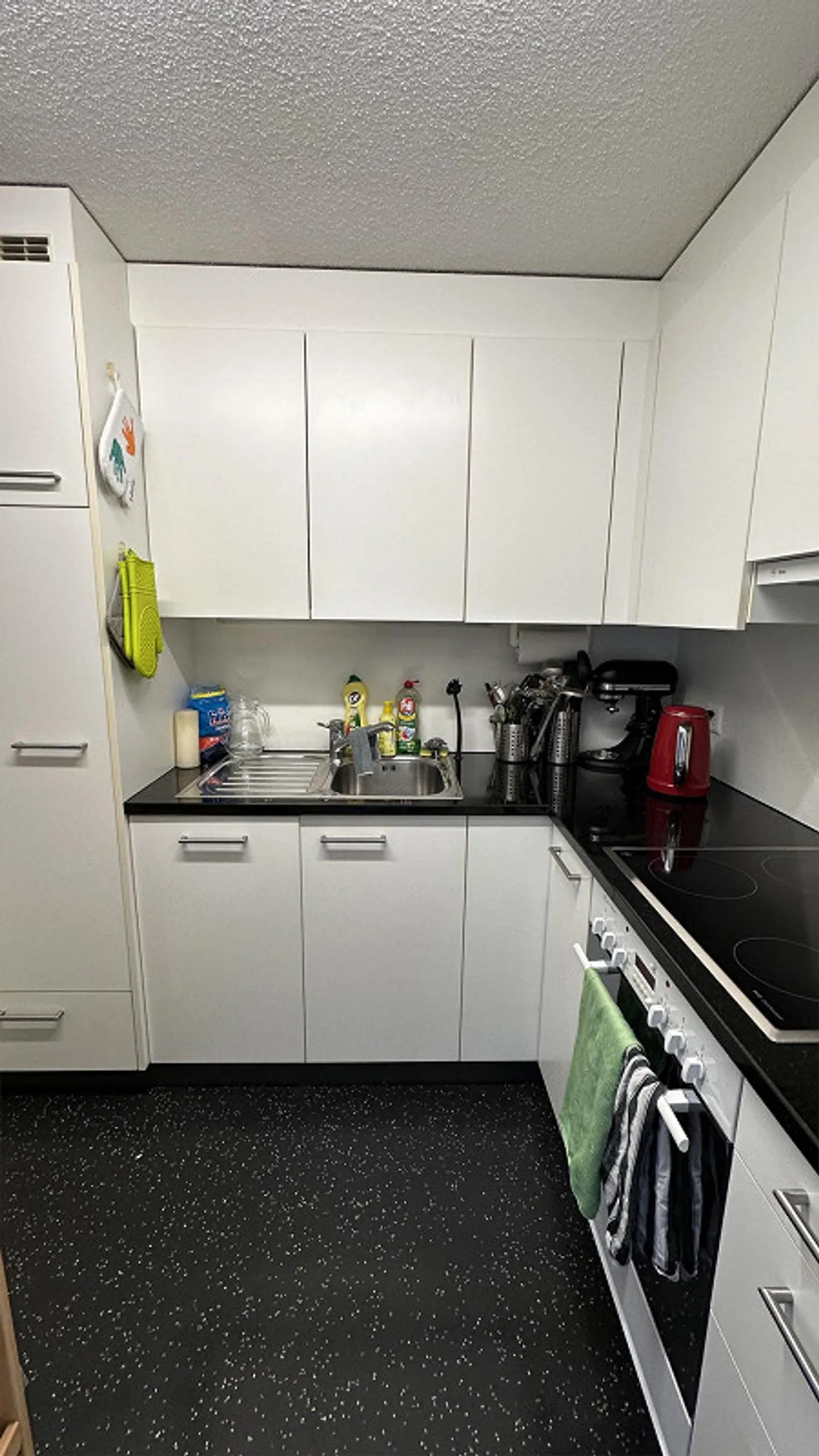 Furnished 2.5-room apartment for subletting - Photo 3 of 7