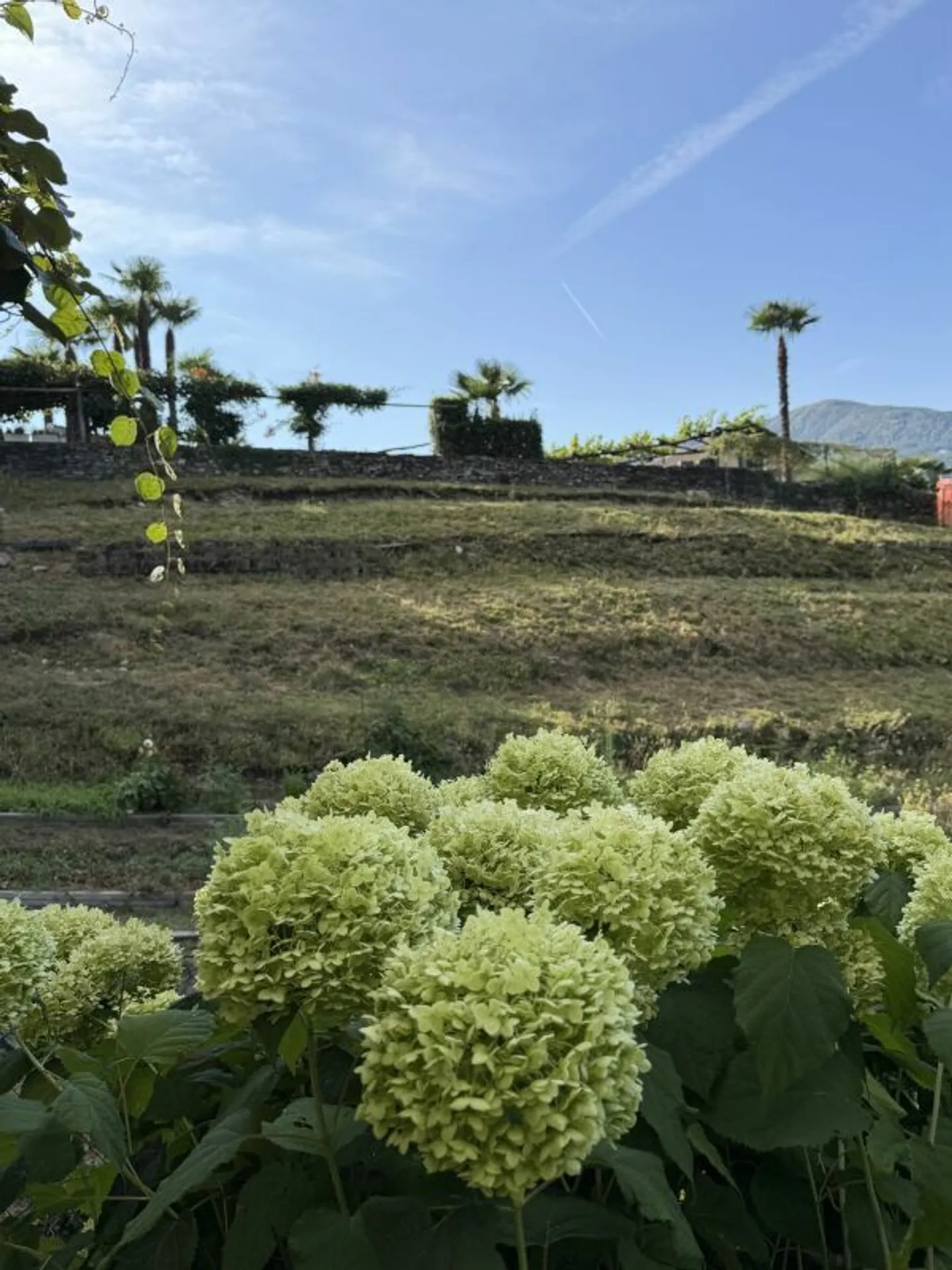 ZU VERKAUFEN IN CUGNASCO - Schönes Einfamilienhaus mit 5,5 Zimmern in sehr gutem Zustand - Foto 7 von 18