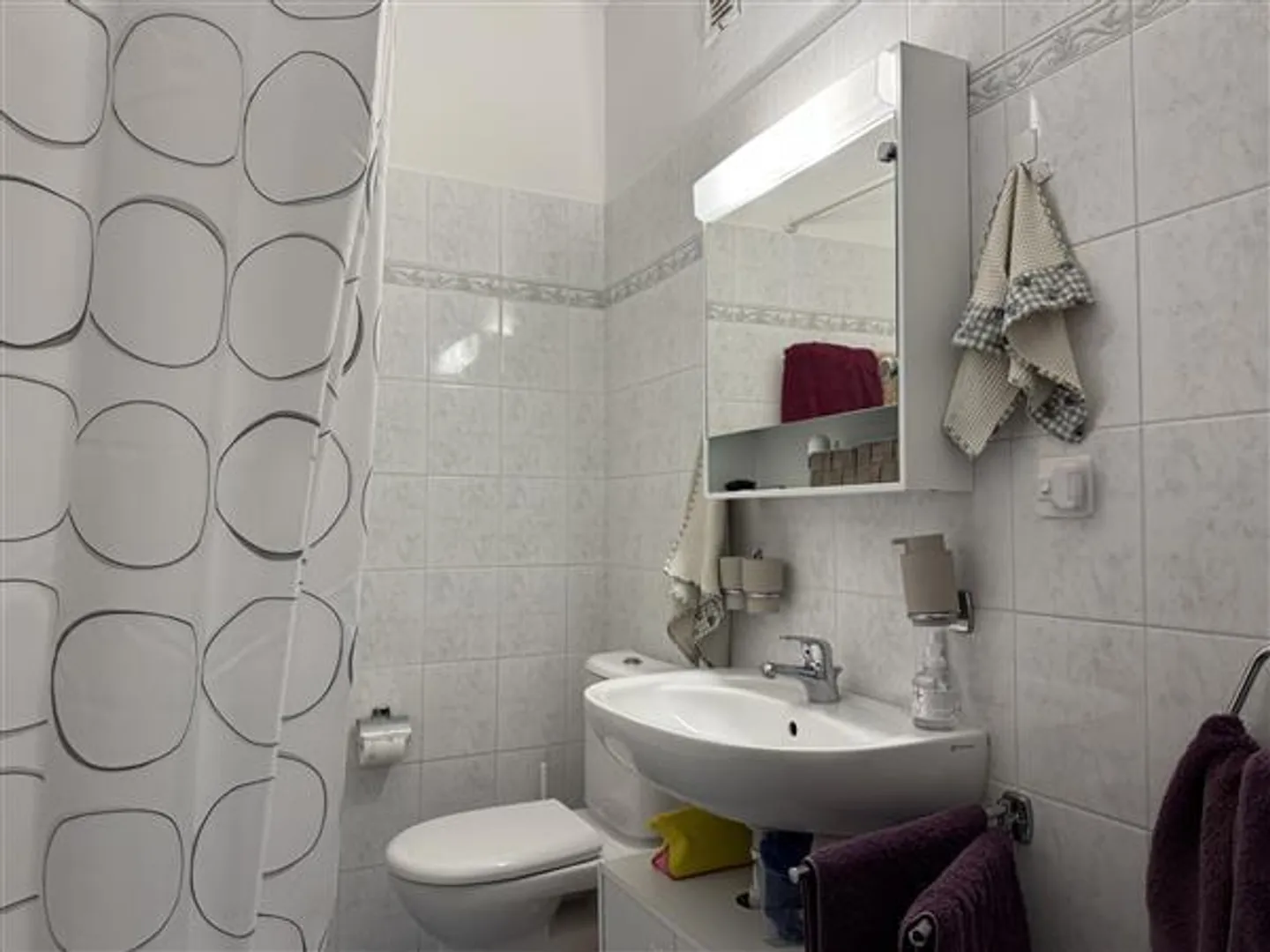 Lugano: 1.5 Room Apartment - Photo 10 of 10
