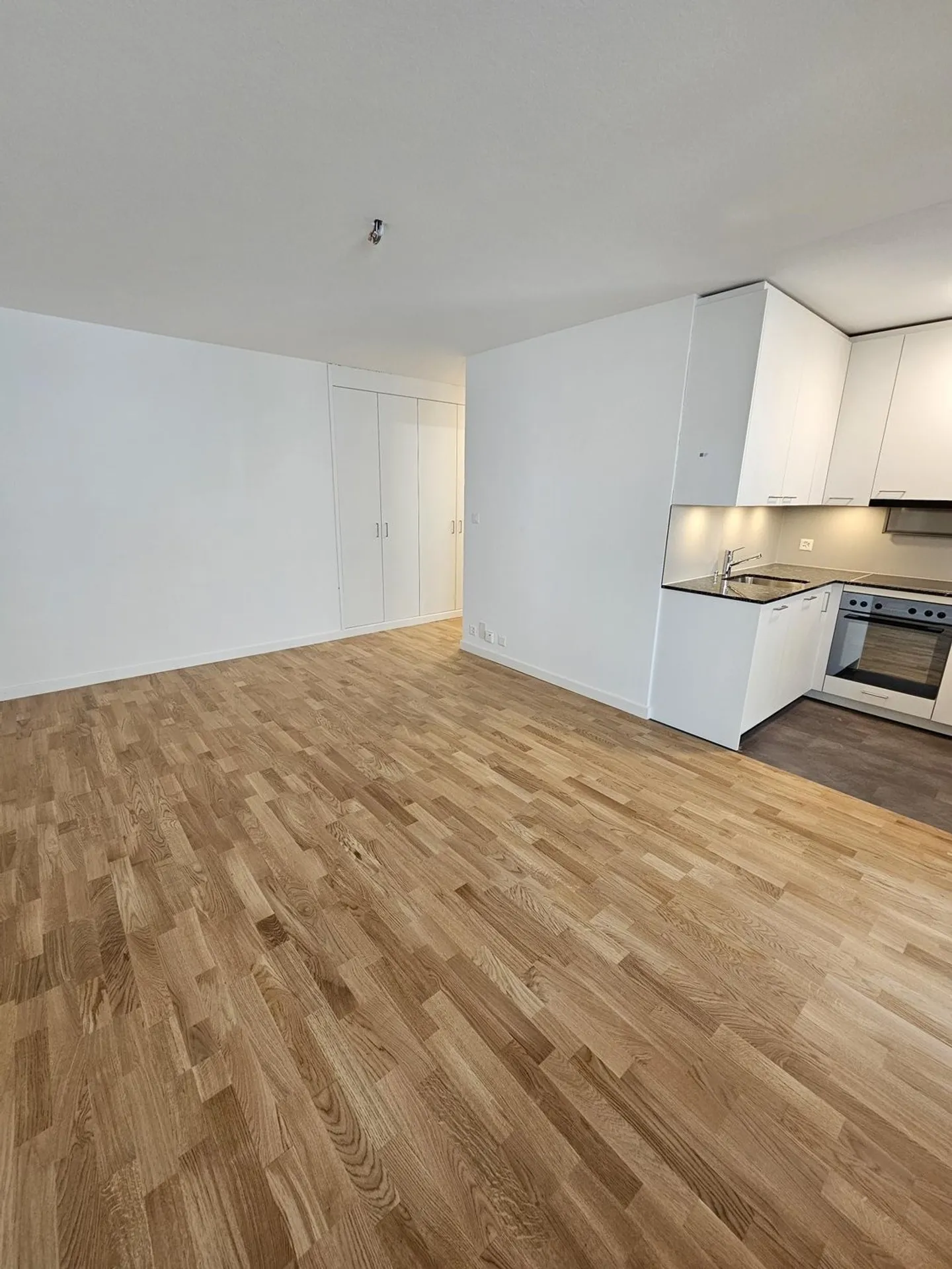 Energetically renovated 1-room apartment in the Breitenrain district - Photo 2 of 5