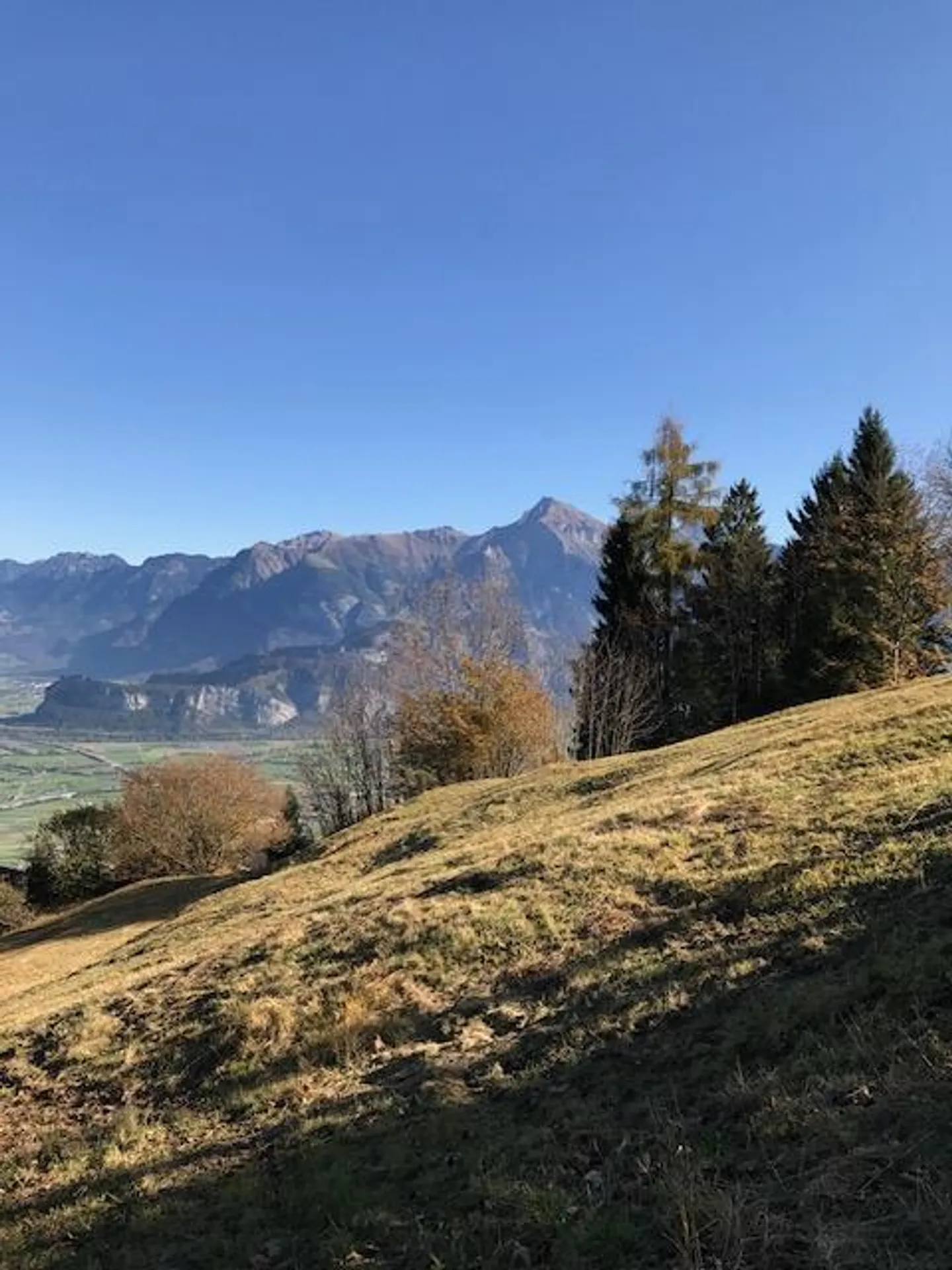 Baugrundstück mit herrlichem Blick - Foto 3 von 4